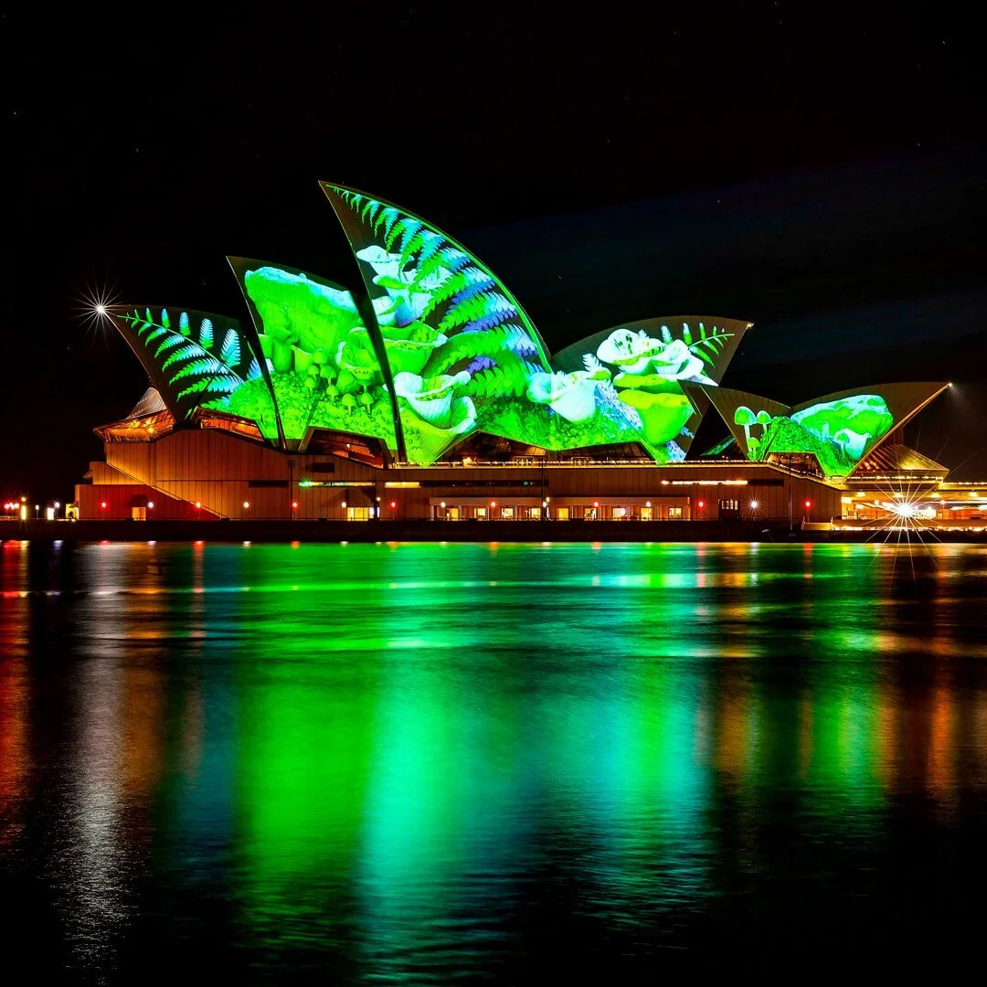 Vivid_Sails_image_10_hires.webp