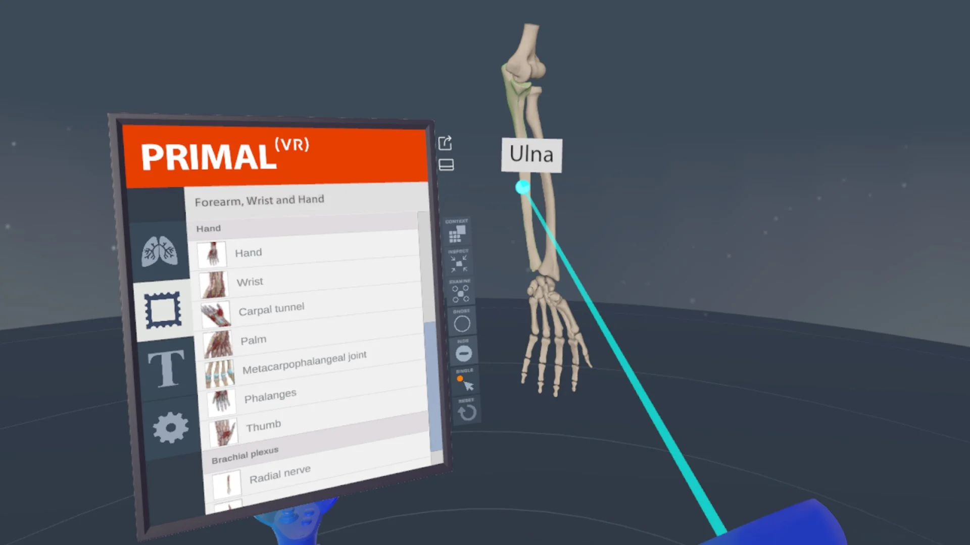 Primal_05.jpg