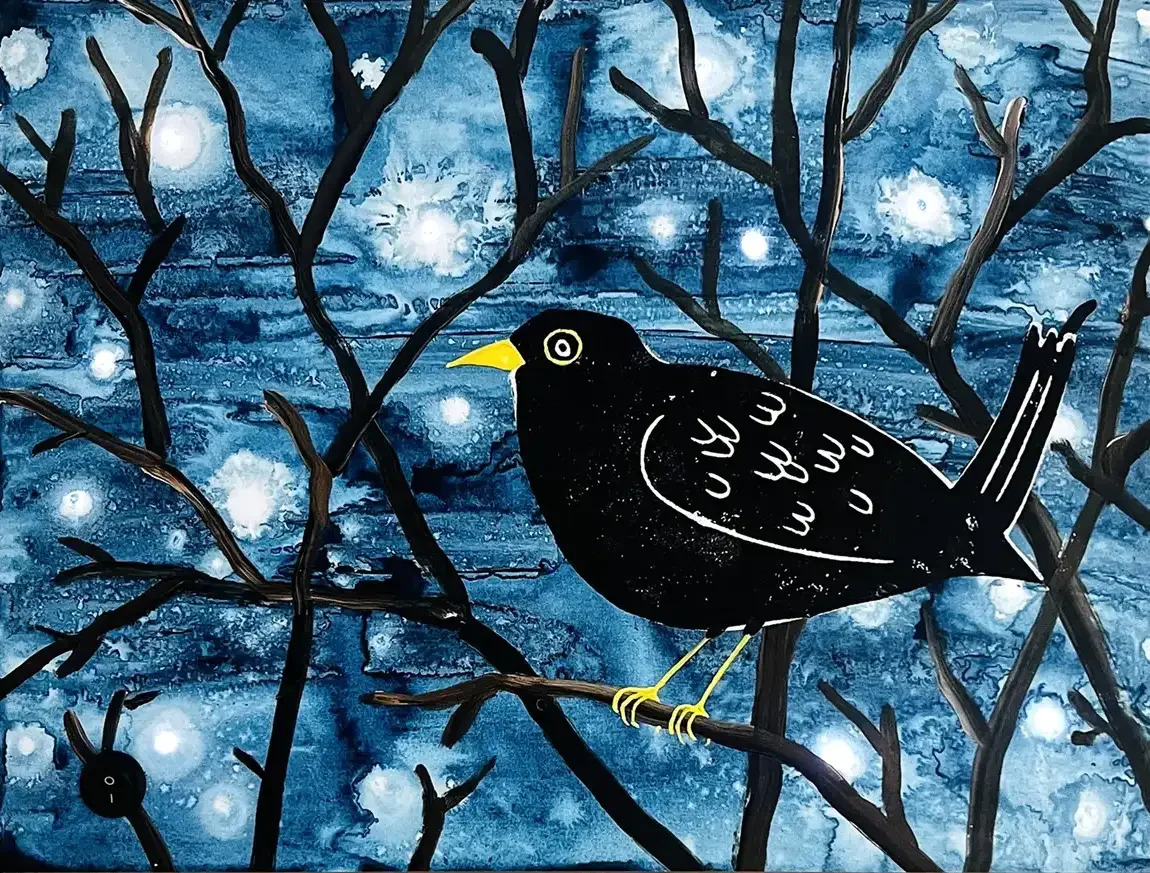 Nightwatch Blackbird