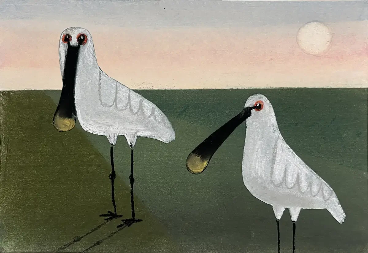 The Northern Shoveler. 24 x 32 cm. 2025. Softpastel and Collage on Paper.