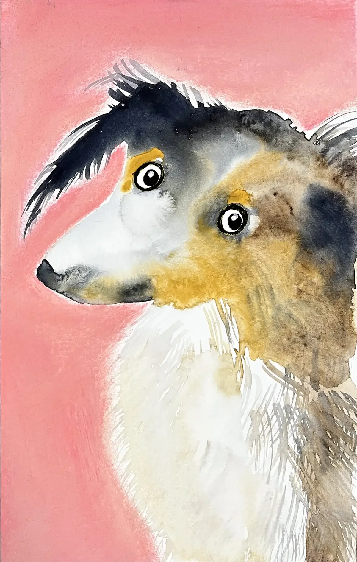 Dog protrait 02. 15 x 24 cm. 2026
Aquarel and Softpastel on Paper.
