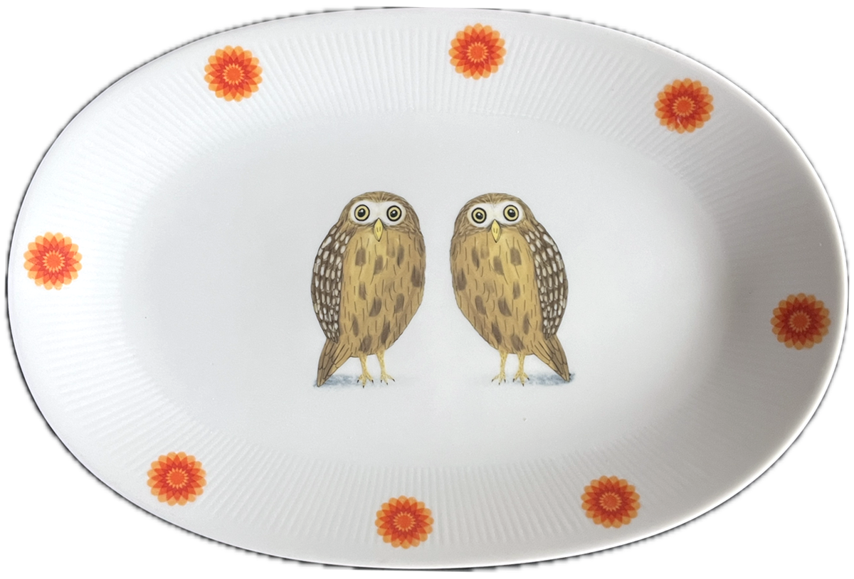 Dish-Two-Owls-Orange.webp