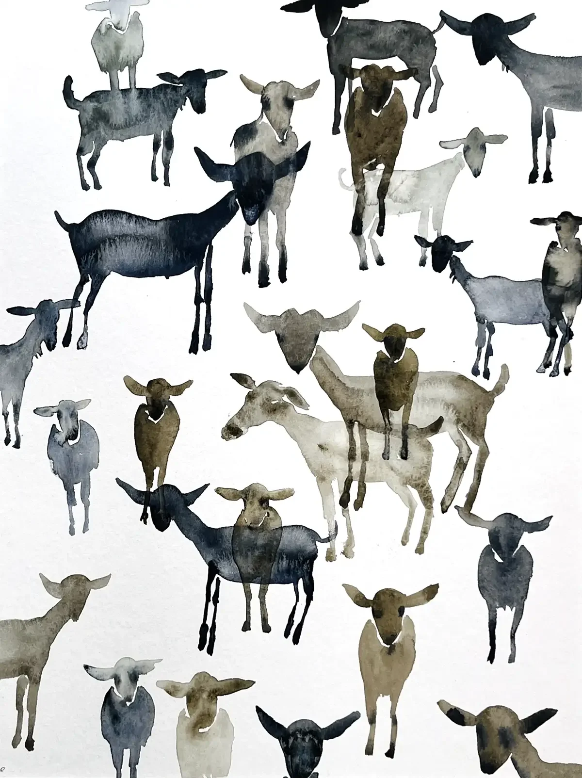 Goats. 50 x 65 cm. 2024. Aquarel on paper.