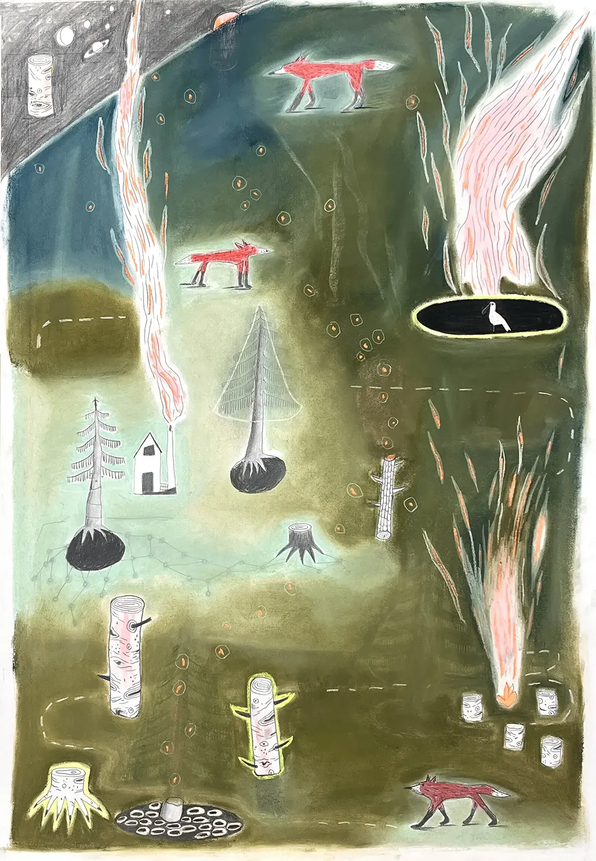 Forest
