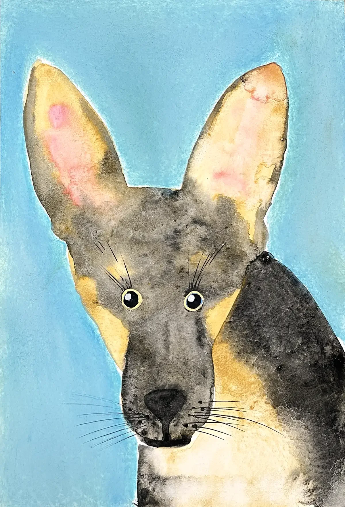 Dog protrait 03. 15 x 24 cm. 2026
Aquarel and Softpastel on Paper.