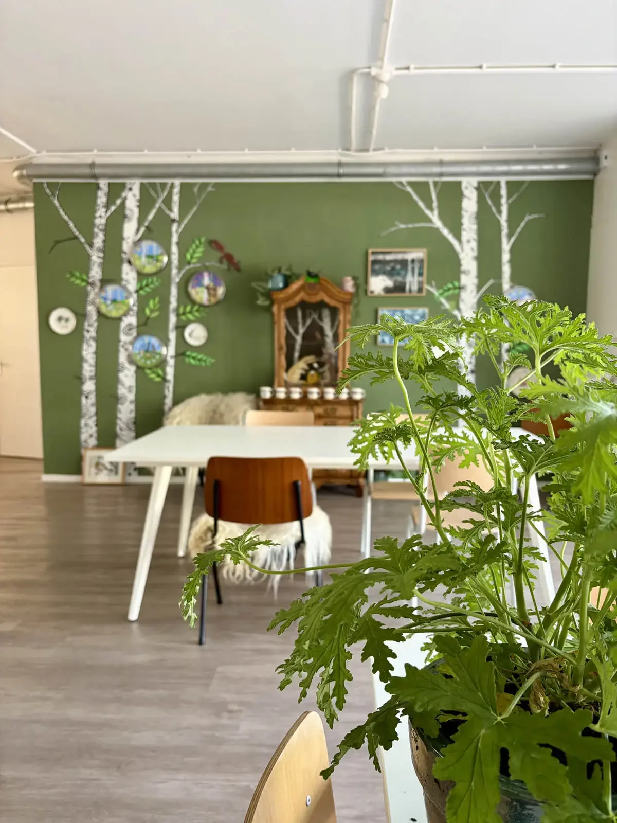 Studio Haas en Hert