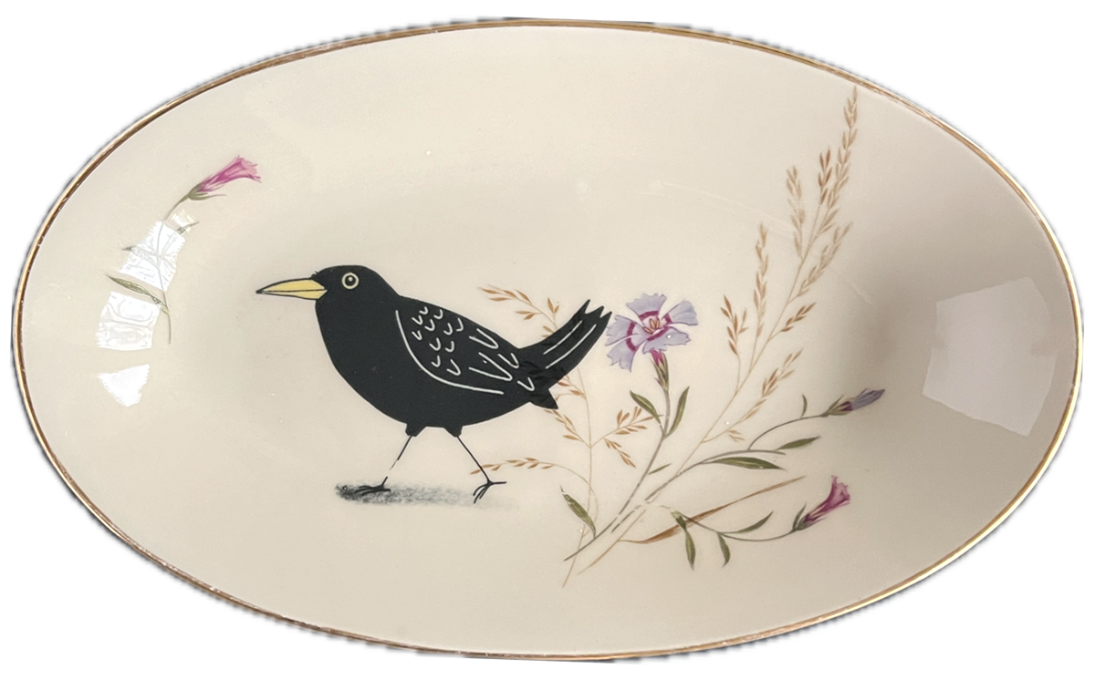 Small-Plate-Blackbird-flowers.webp
