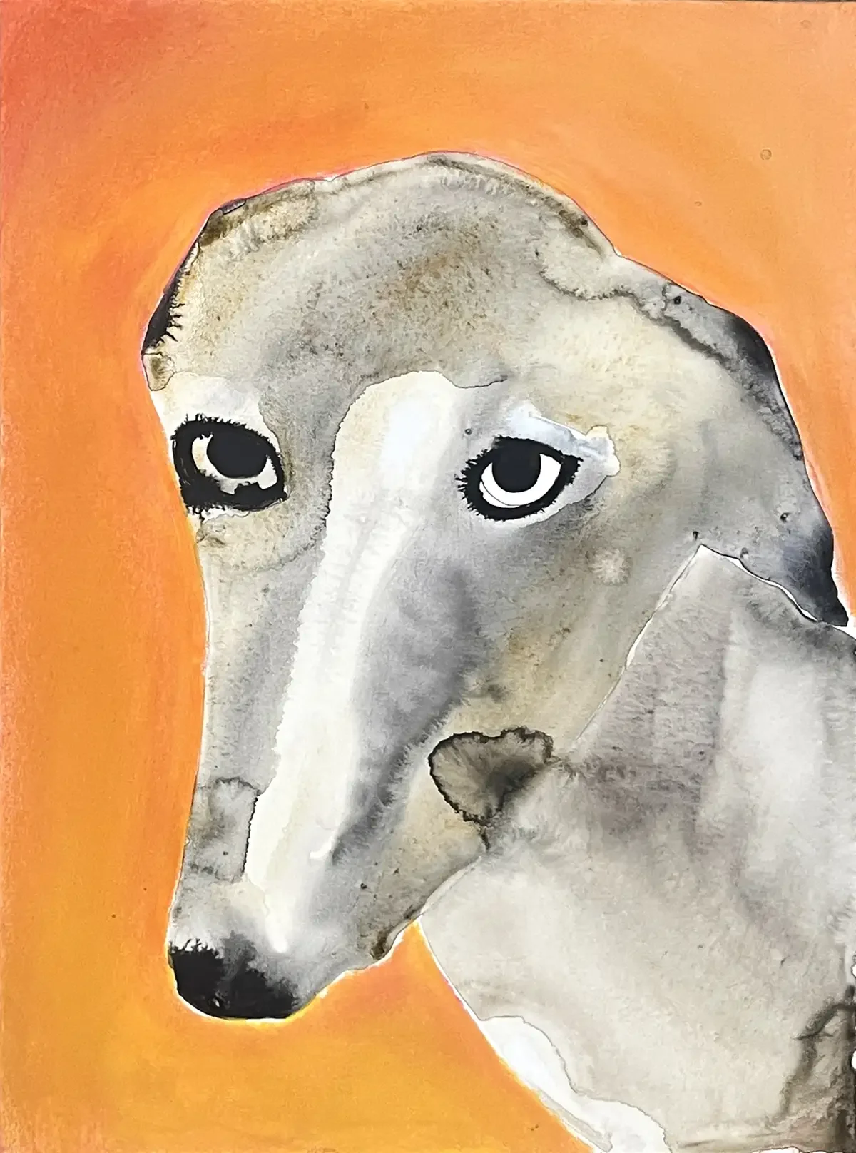 Portrait of a Dog