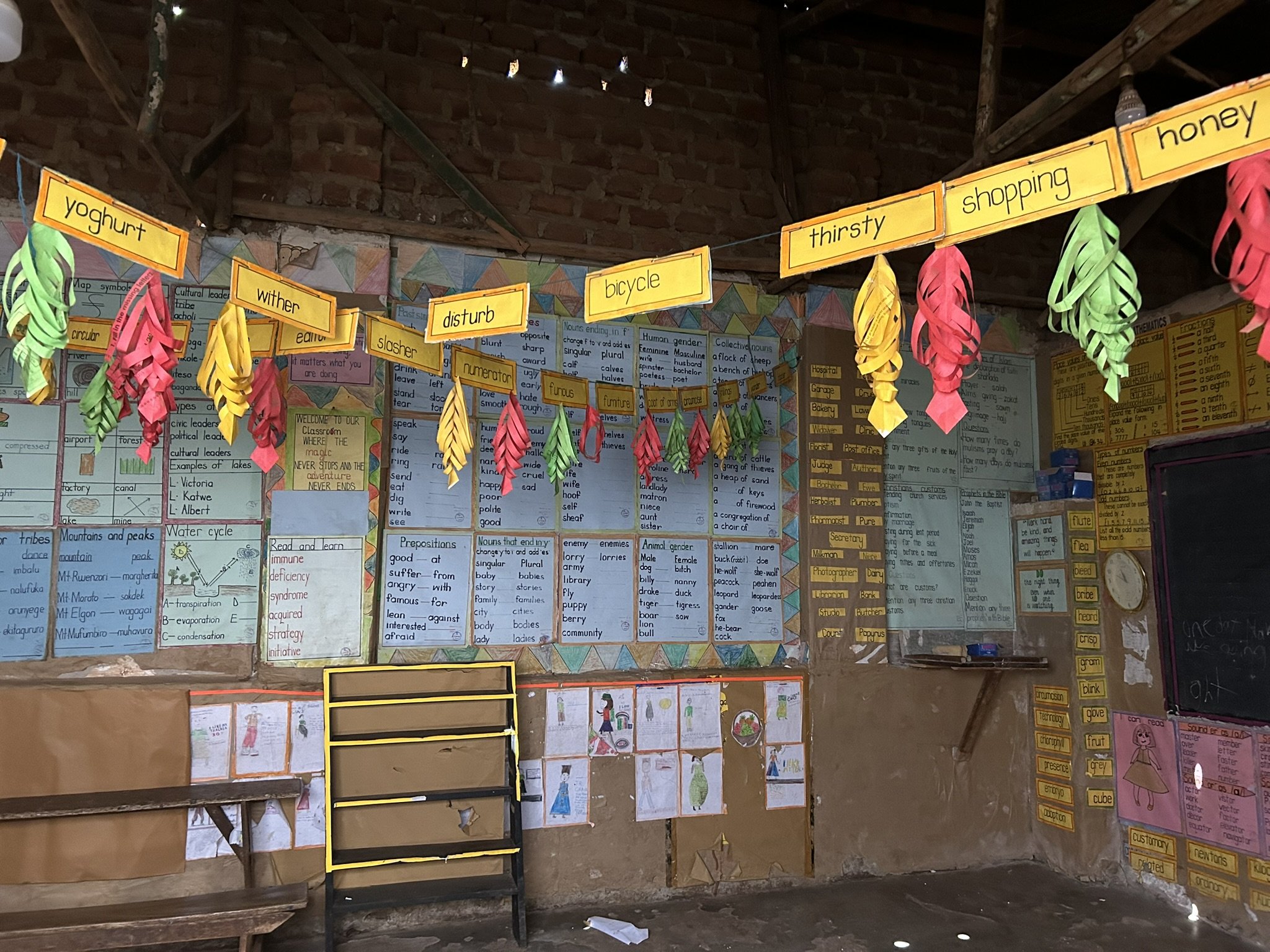 Introducing Read to Dream