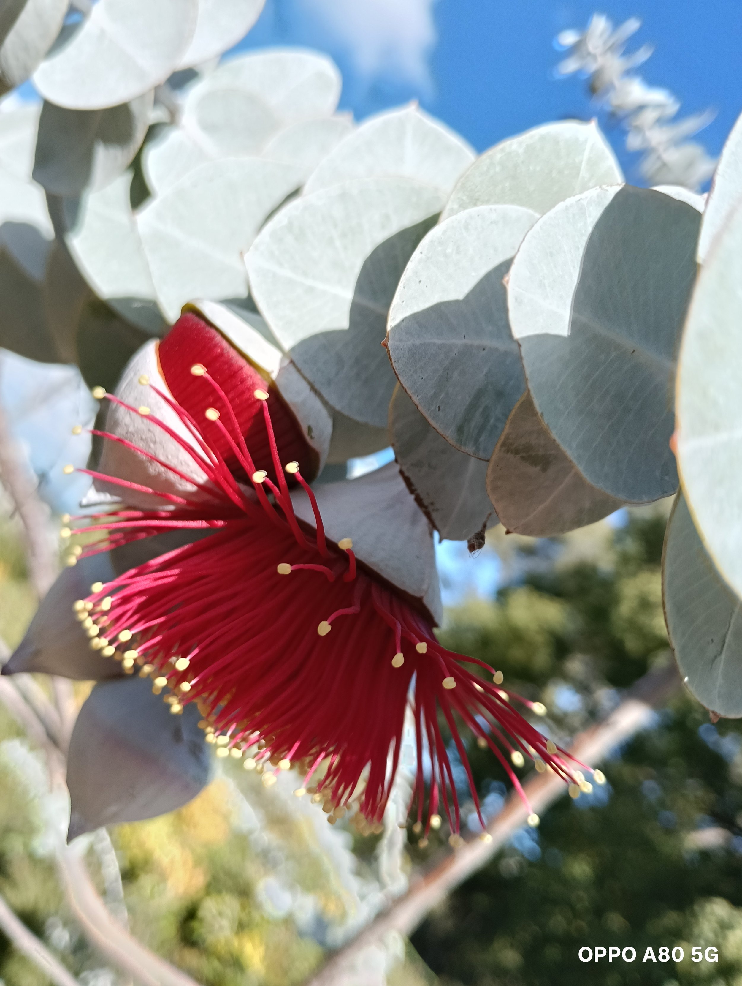 59 and Reflecting on Art and Life