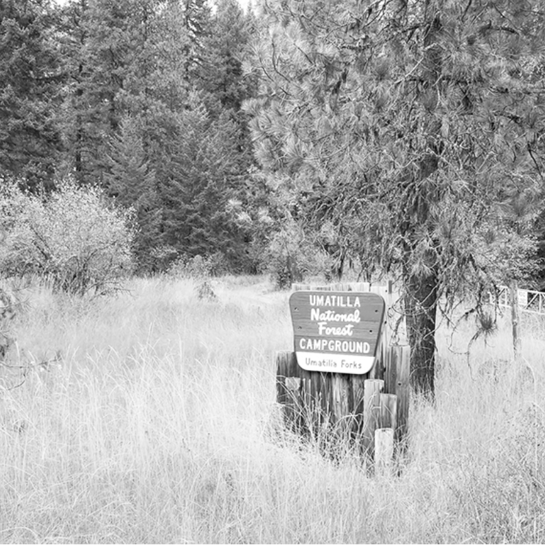 Umatilla Forks Campground