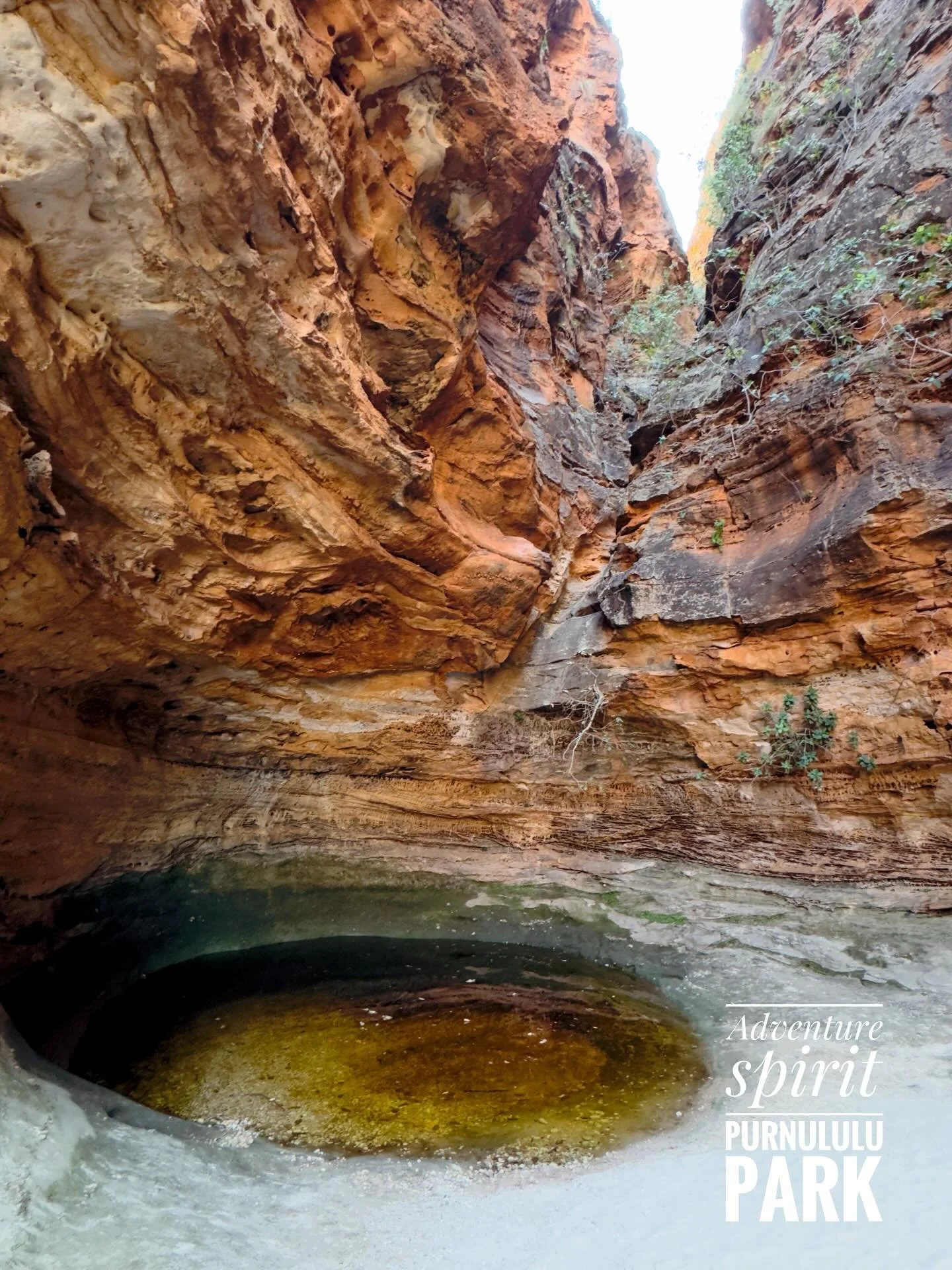 Bungle Bungle &ndash; Święte miejsce Aborygen&oacute;w

Dla lokalnych społeczności rdzennych &ndash; przede wszystkim Mambulgurri i Djaru &ndash; Bungle Bungle to nie tylko formacje skalne, ale miejsce duch&oacute;w przodk&oacute;w. Według tradycji D
