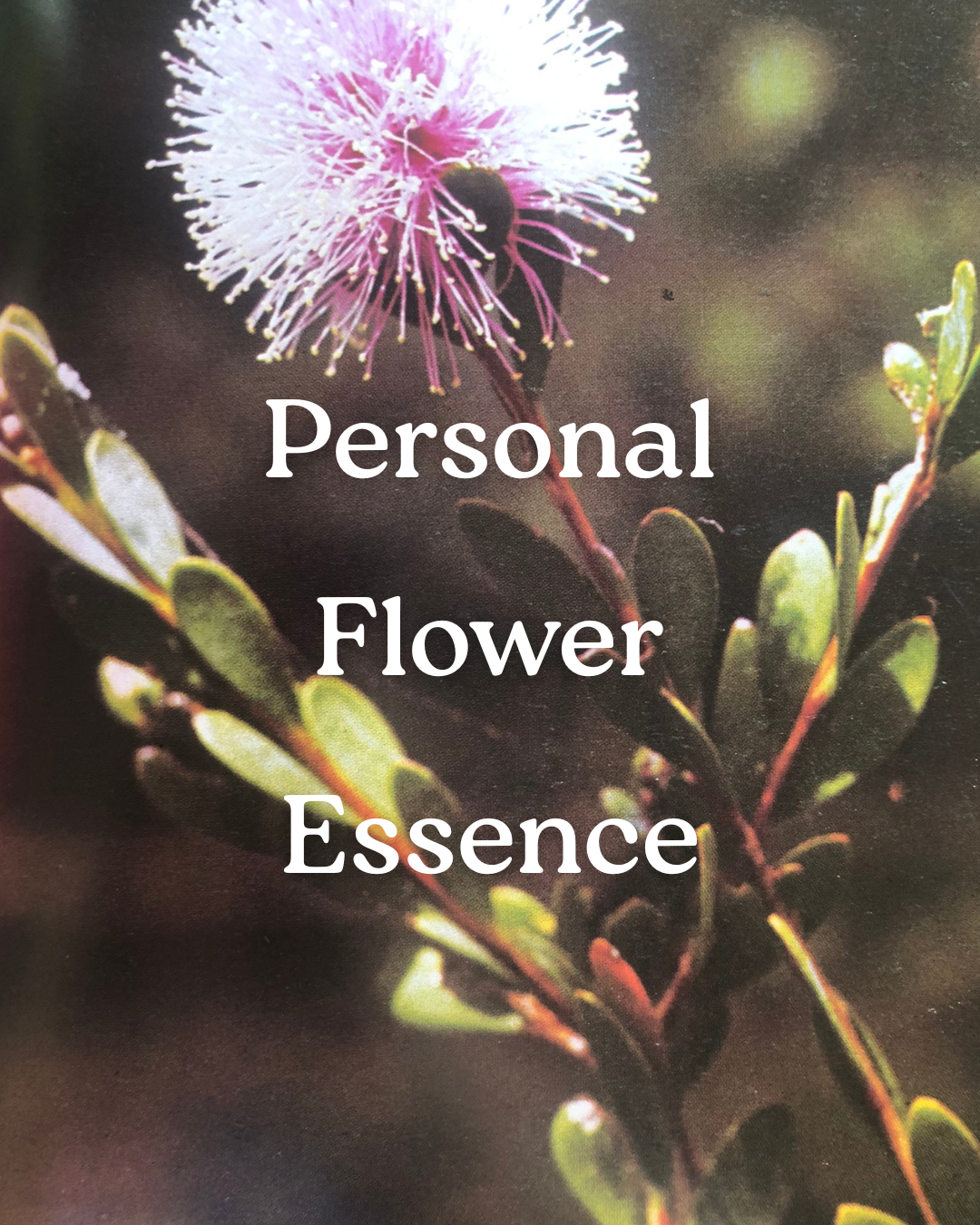 Personal Flower Essence Blend