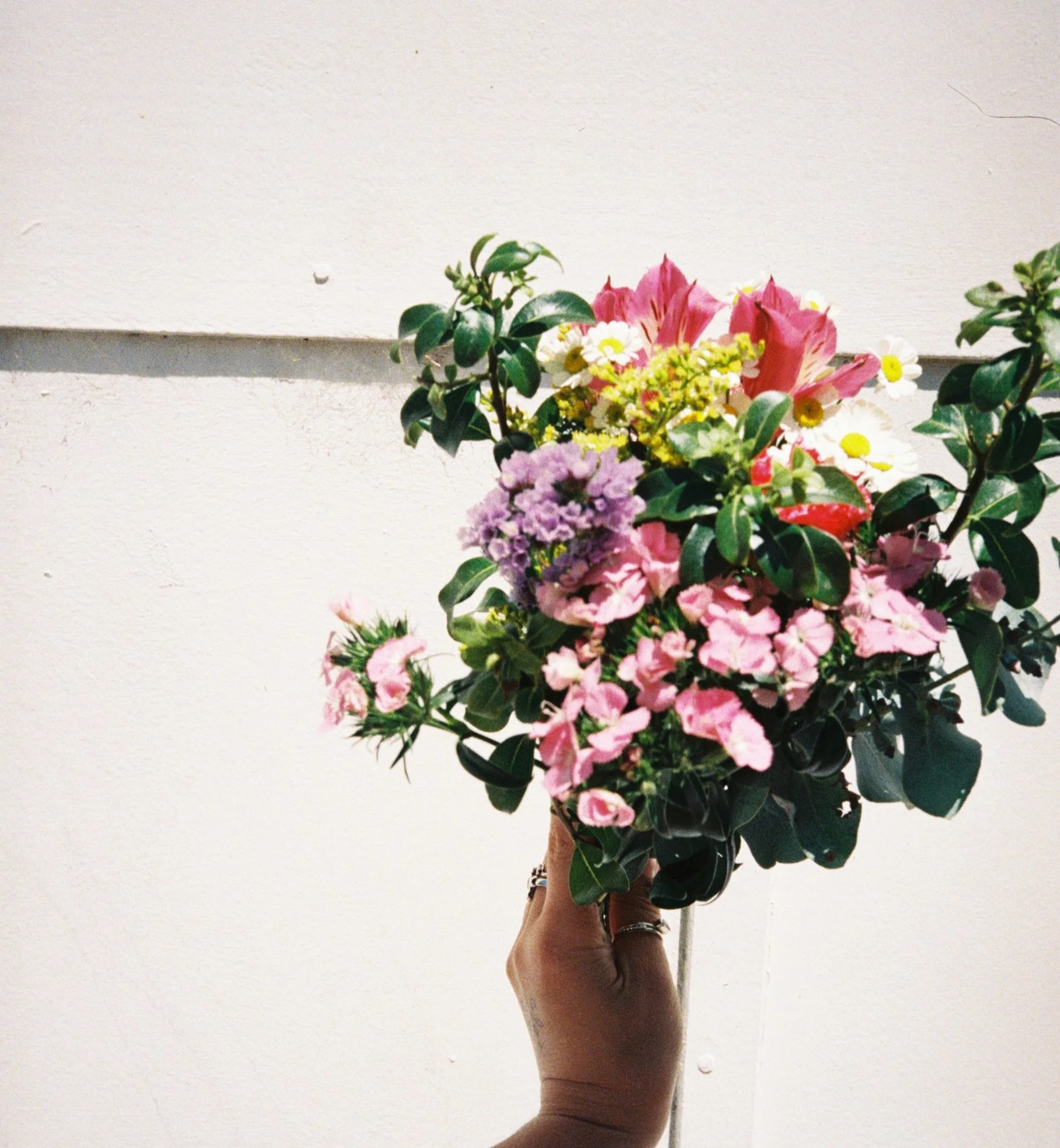 A hand holding a bouquet of mixed pink, purple, and yellow flowers against a plain white wall background.