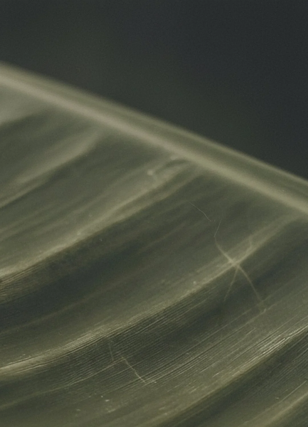 Boi Media Studio_Graphical_2.jpg