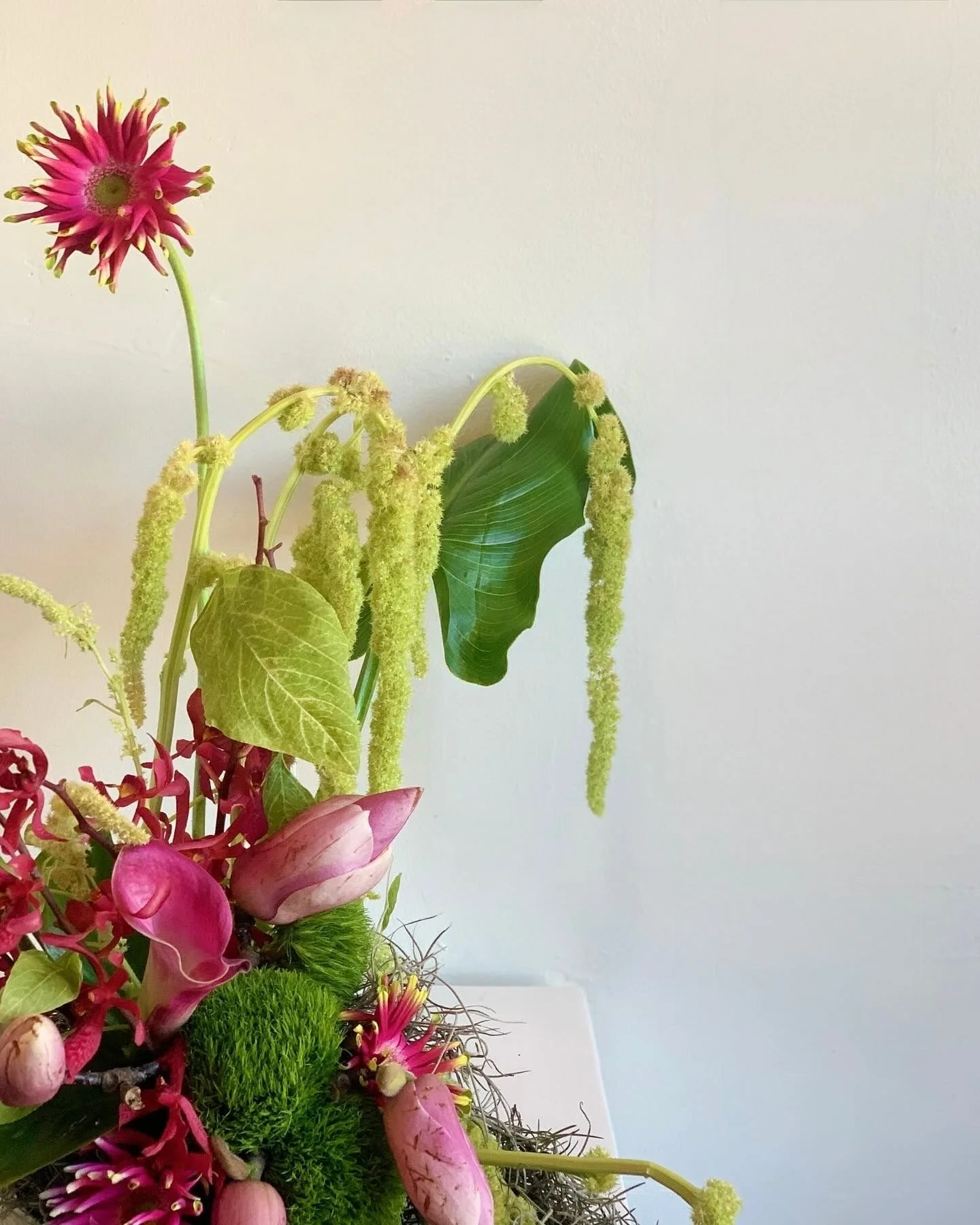A floral arrangement featuring pink flowers, green leaves, and hanging yellowish-green blooms, placed against a light-colored background.