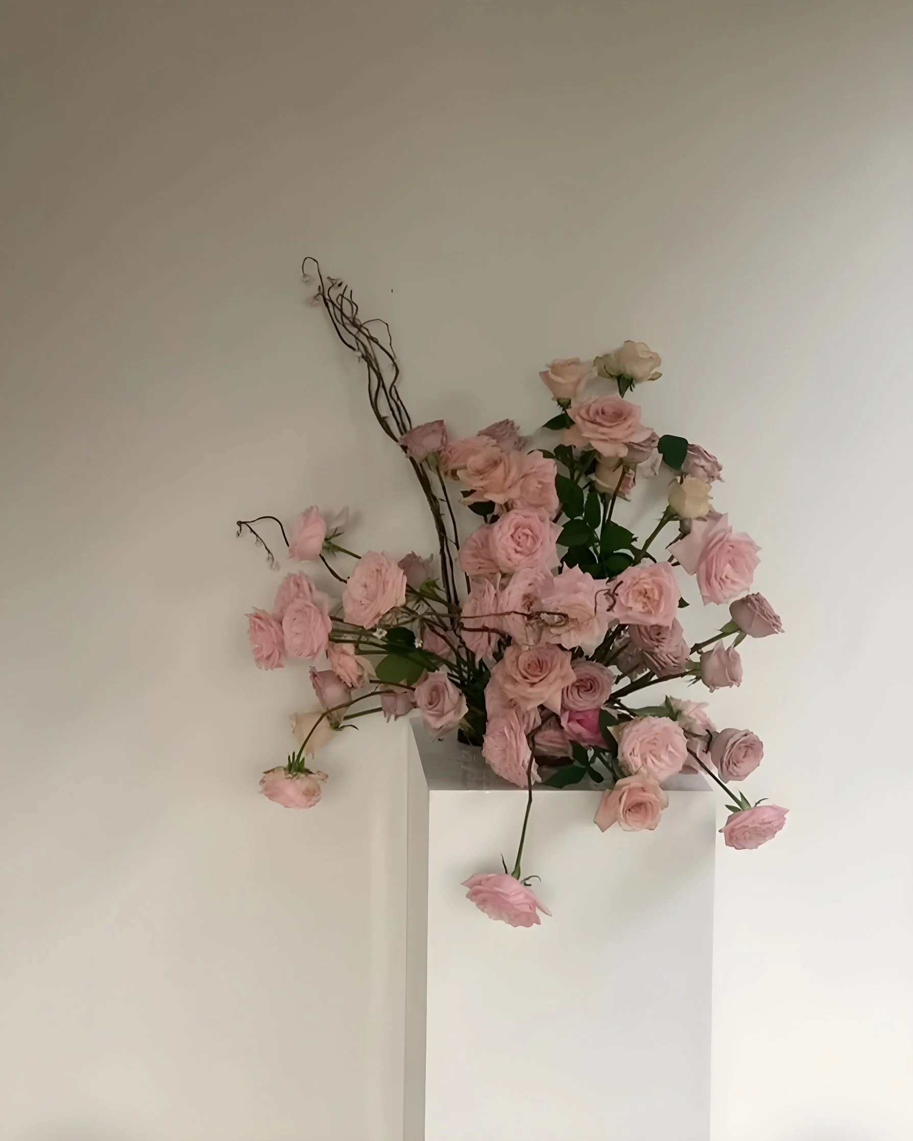 Pink roses in a glass vase on a white surface against a plain white wall.
