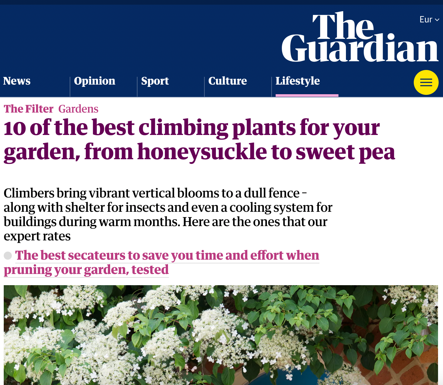 The Guardian.png