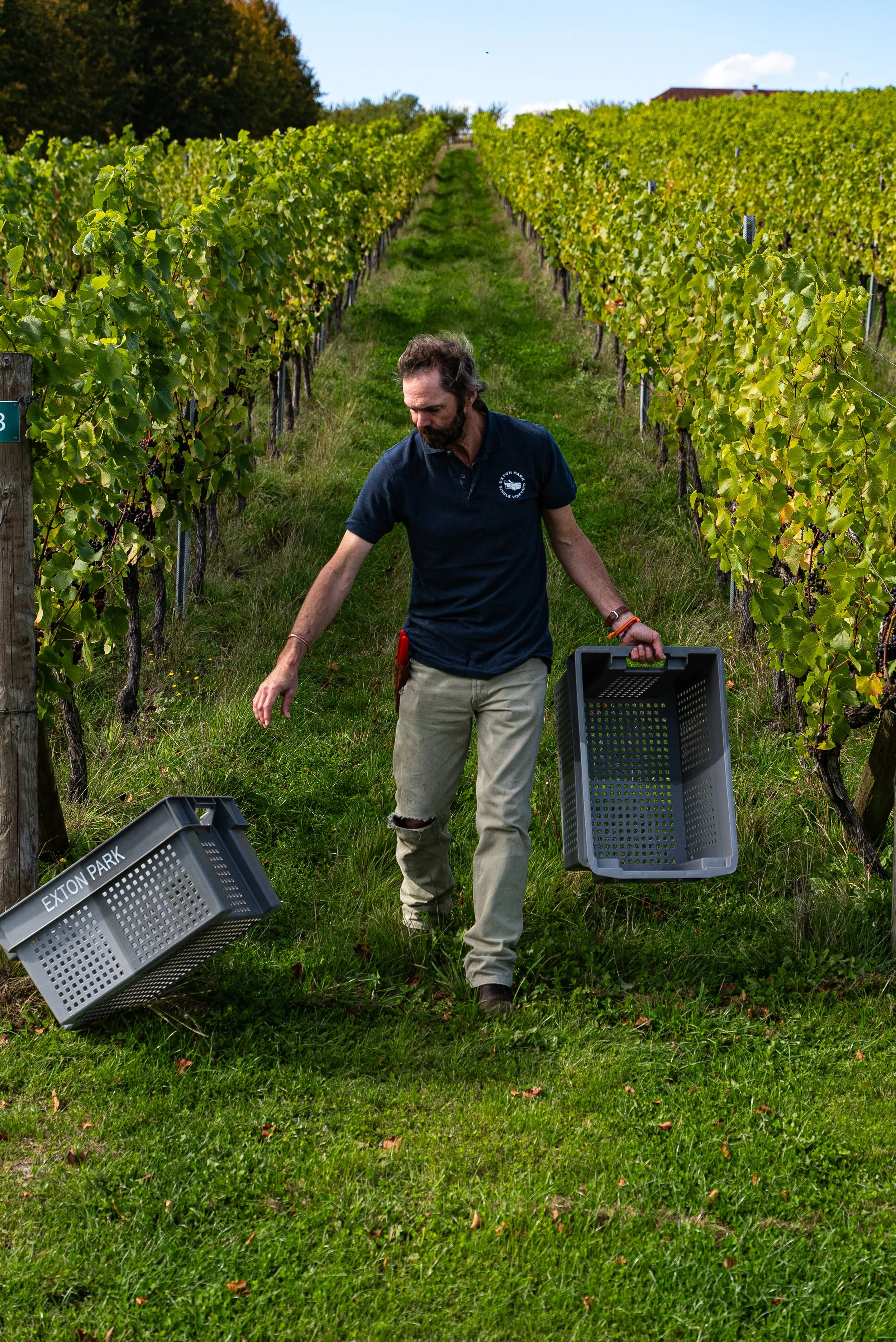 Frederick Langdale, Vineyard Director  002.jpg