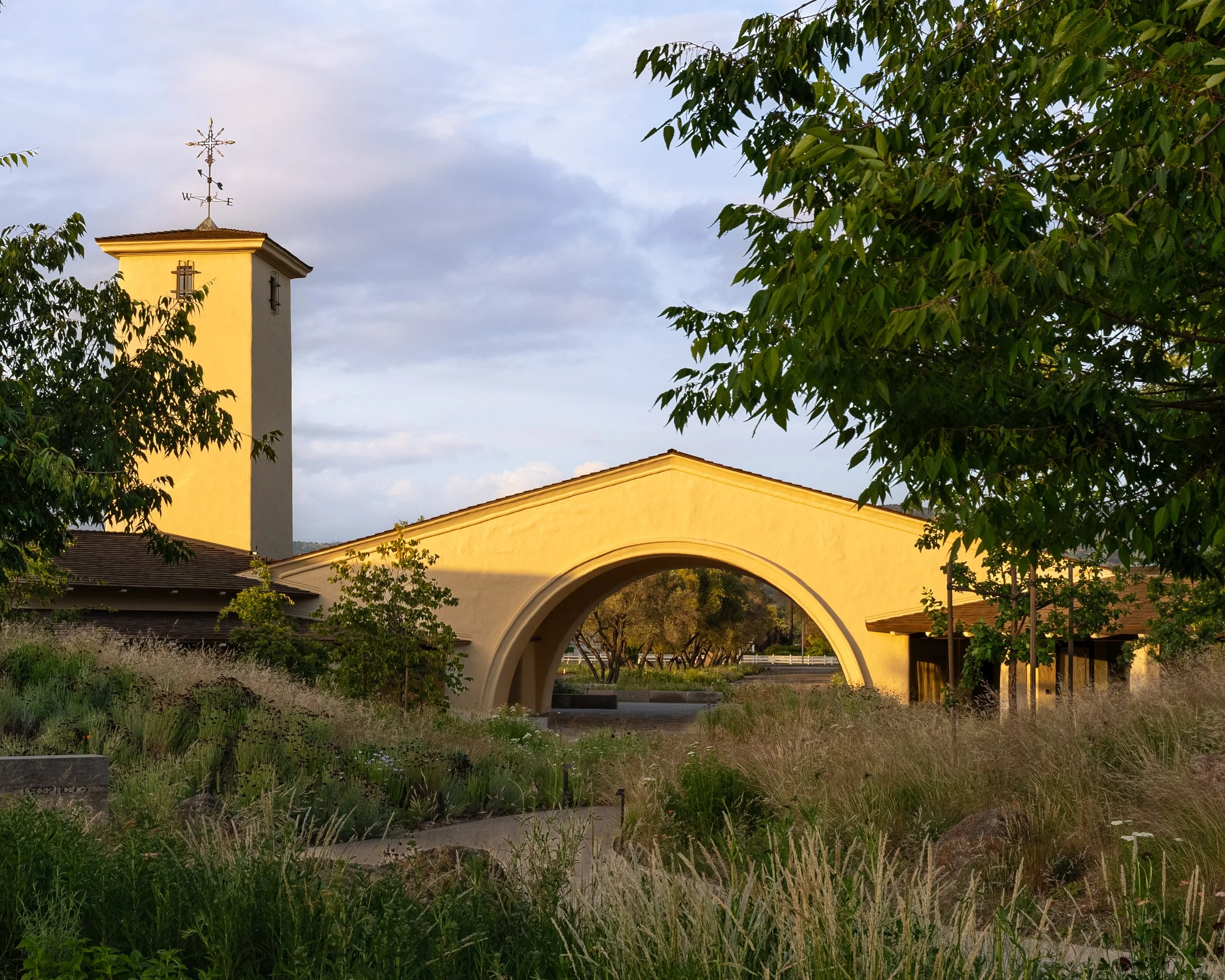 DSC02208-2.jpg