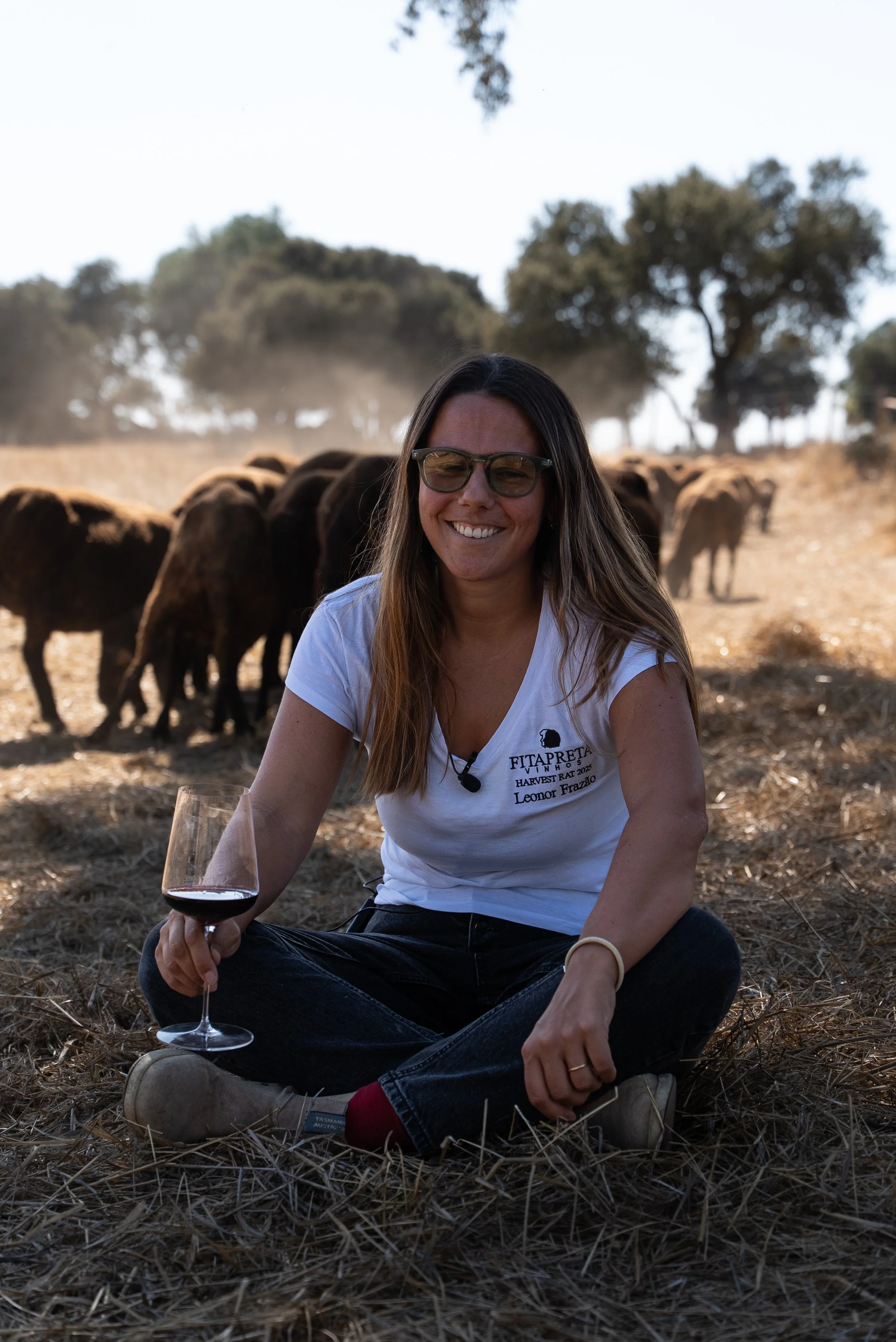 Wines of Alentejo social media content showing Fitapreta Winemaker and sheep, created by FirstPour