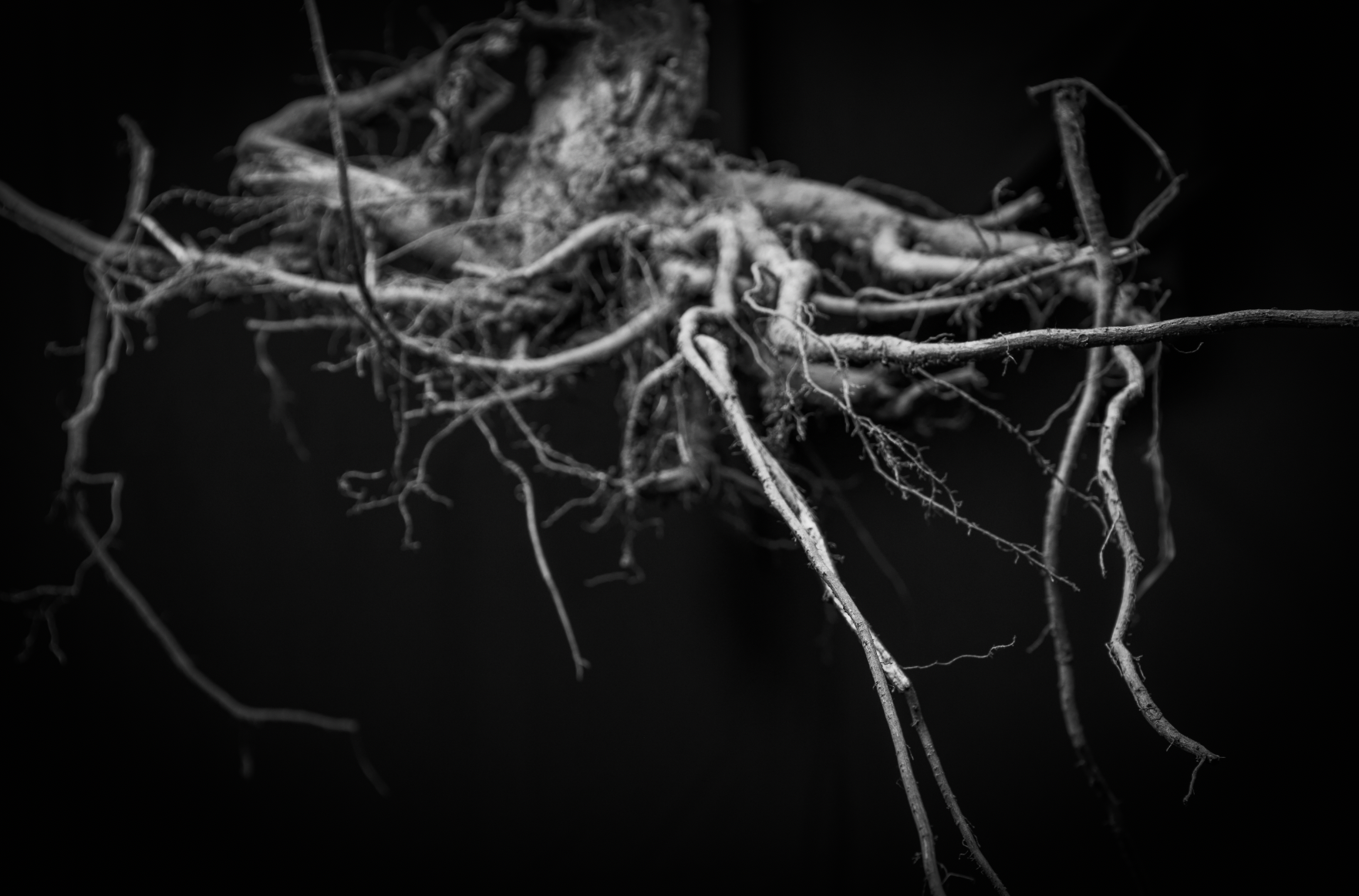 Screenshot 2025-06-12 at 7.41.16 pm.png