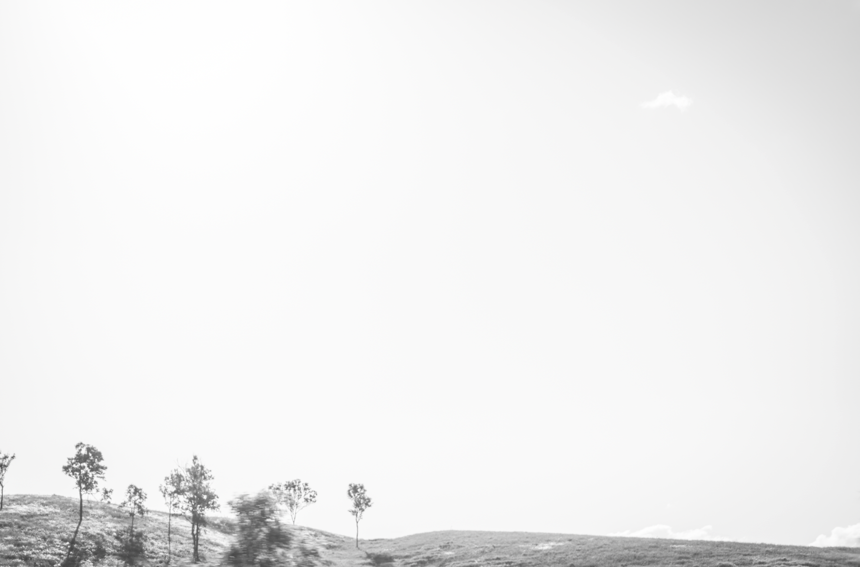 Screenshot 2025-08-29 at 11.54.30 pm.png