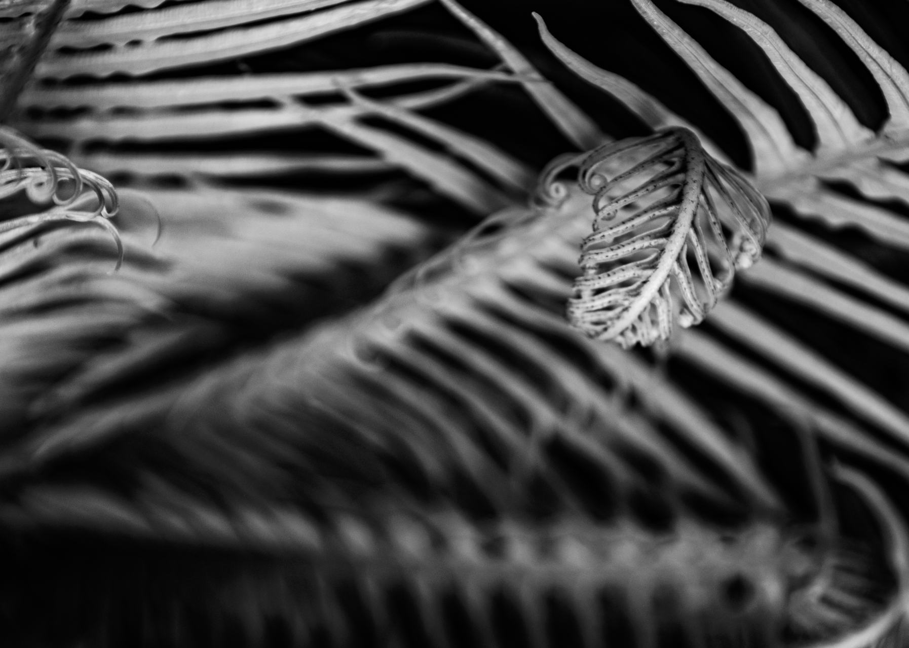 Screenshot 2025-06-22 at 7.29.20 pm.png