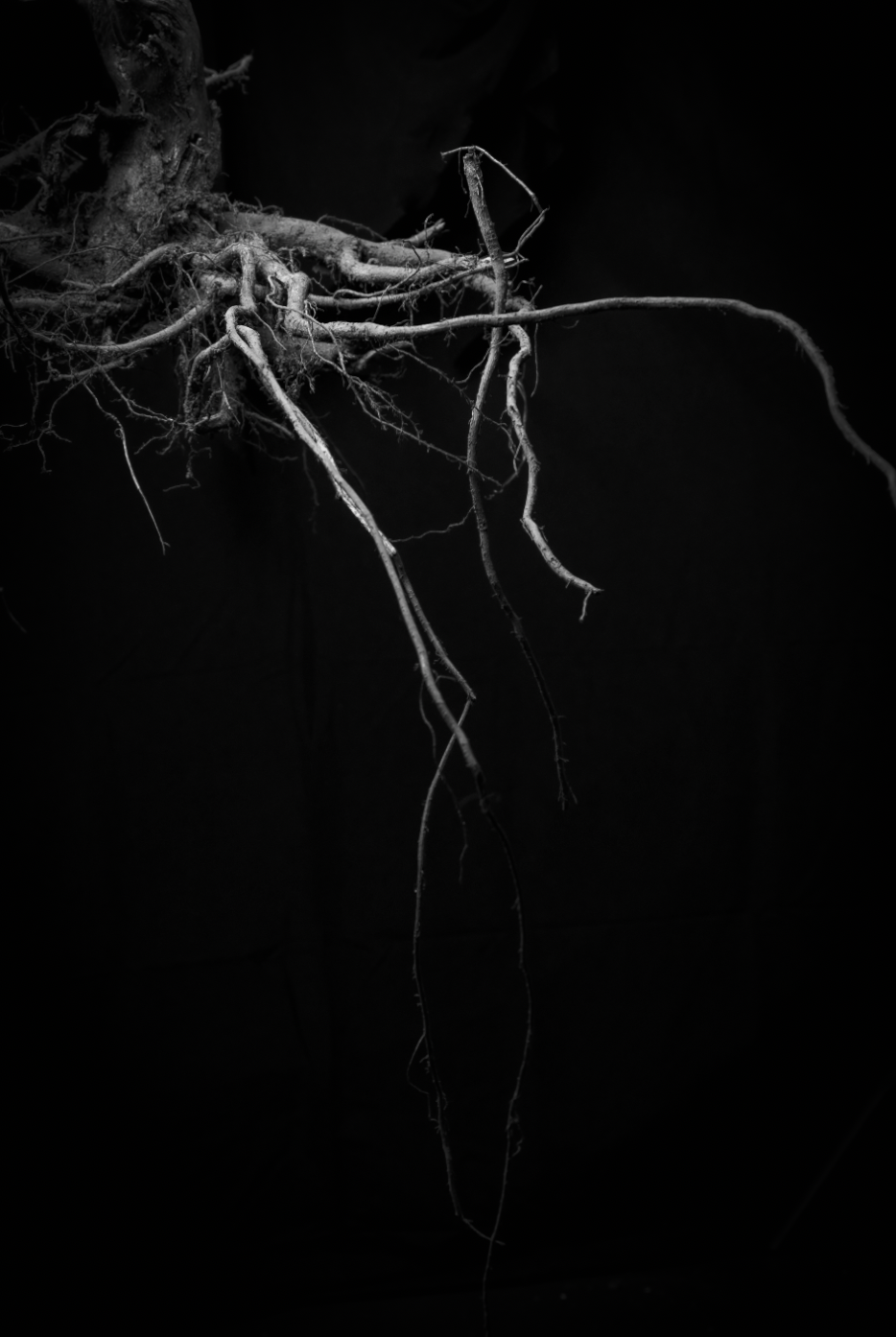 Screenshot 2025-06-12 at 11.46.11 pm.png