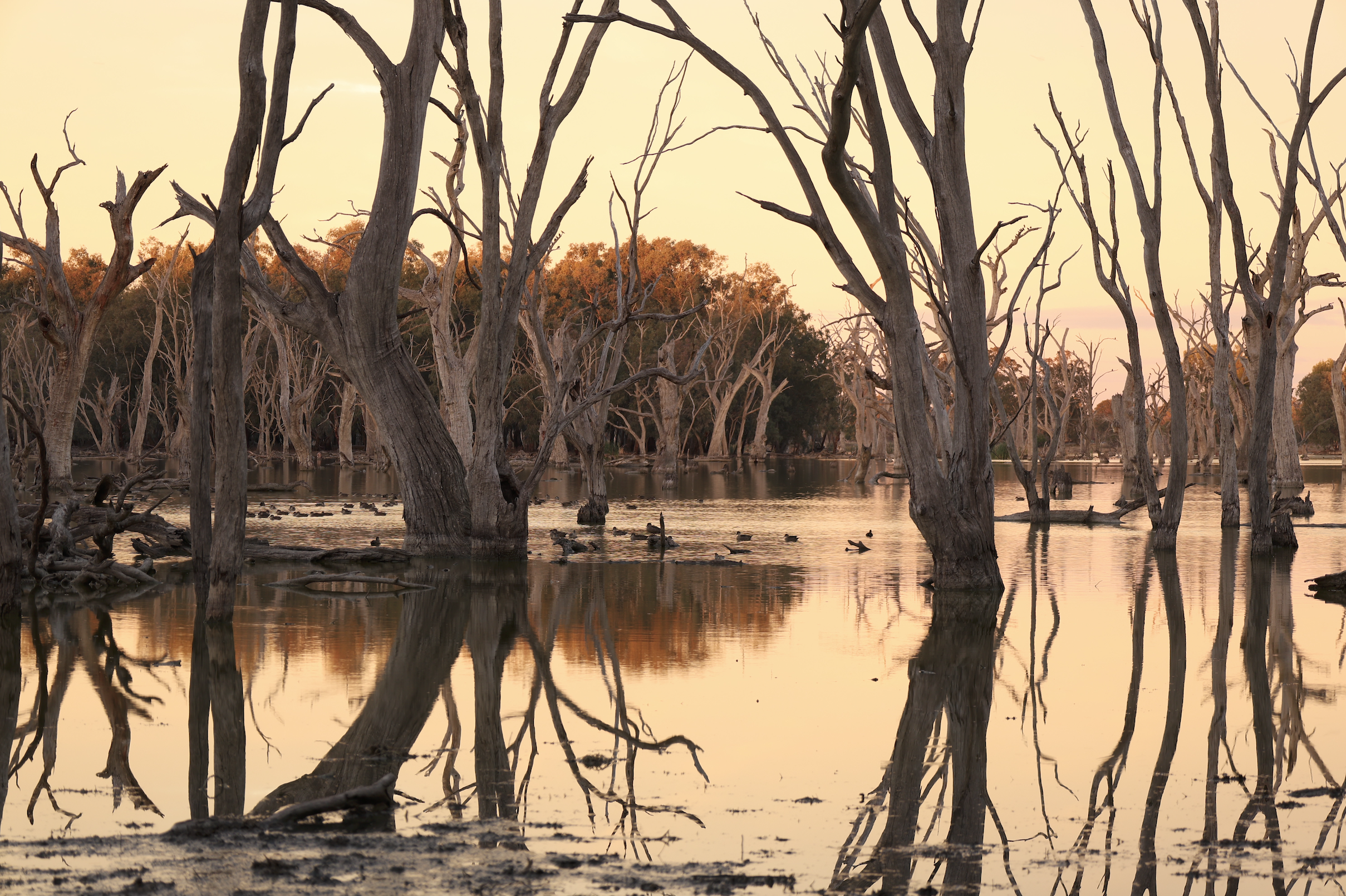 Screenshot 2025-08-29 at 9.49.23 pm.png