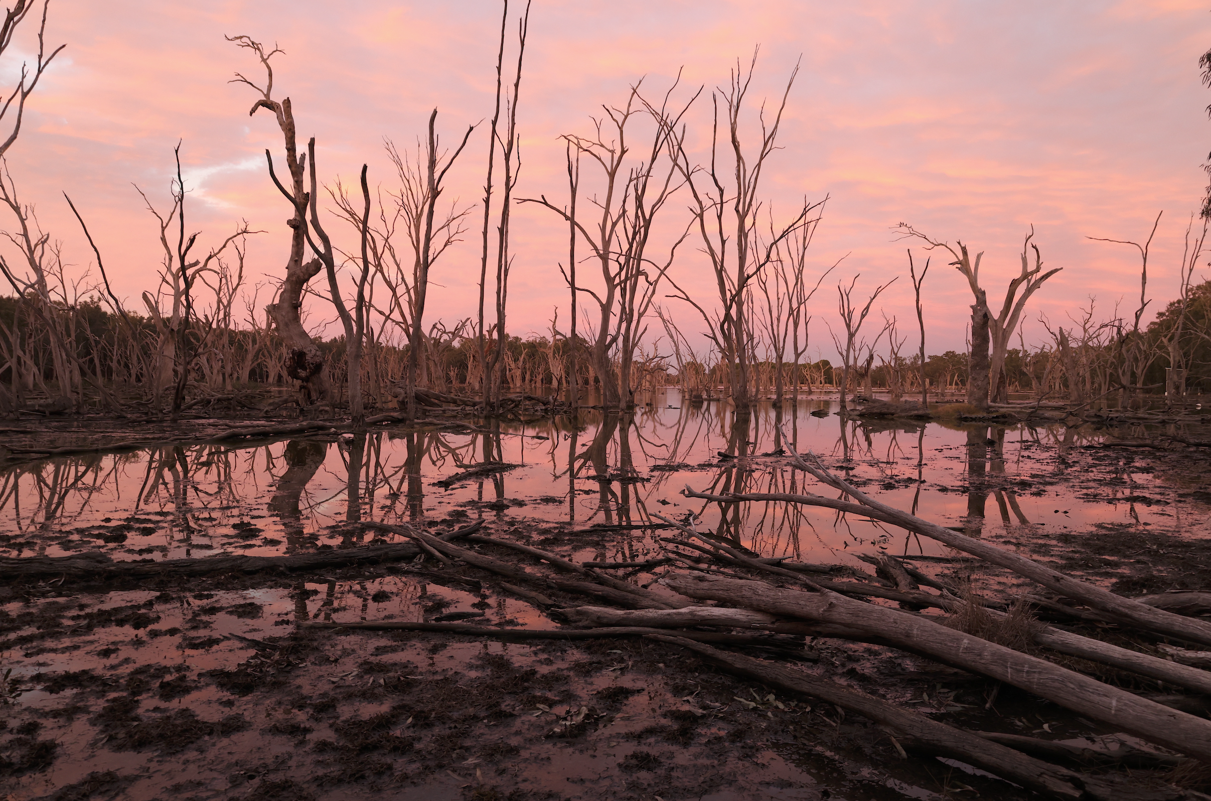 Screenshot 2025-08-29 at 9.23.27 pm.png