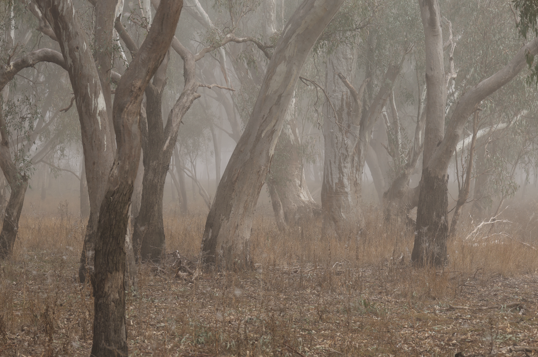 Screenshot 2025-07-16 at 8.46.40 pm.png