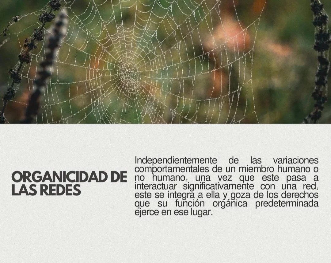 WhatsApp%2BImage%2B2025-05-06%2Bat%2B11.19.57%2B%25284%2529.jpg