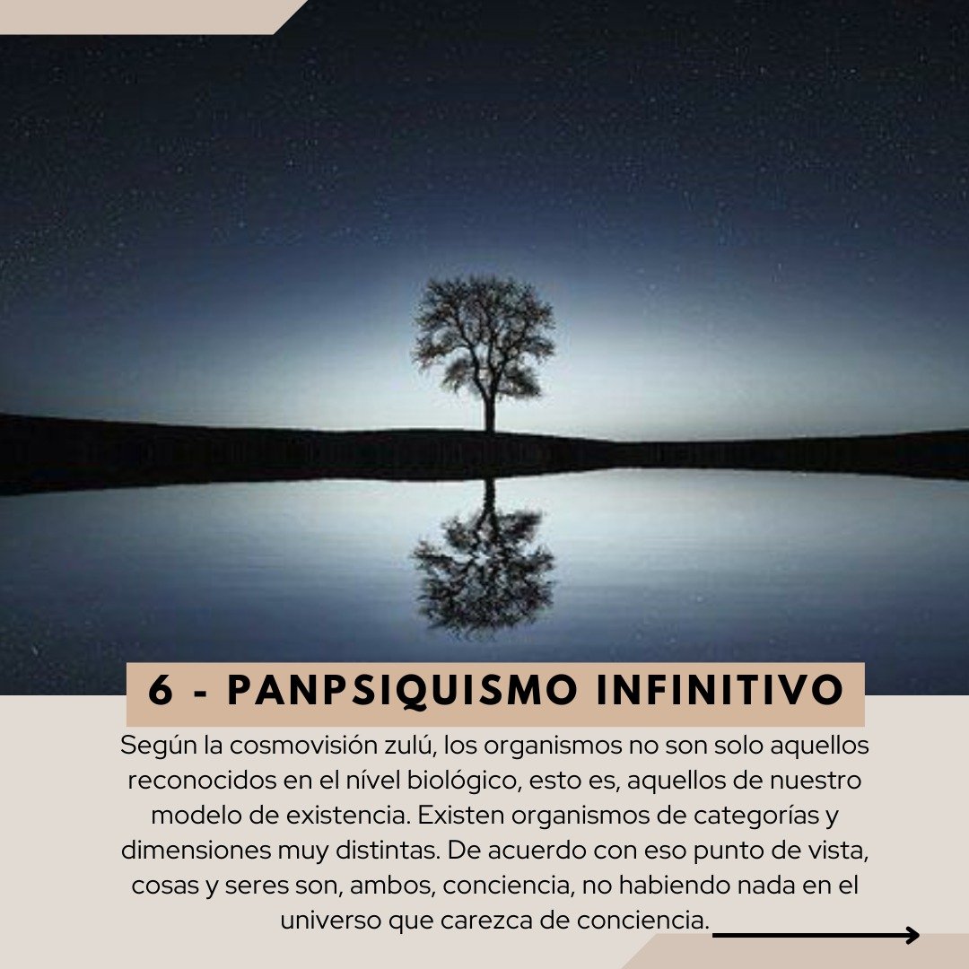 WhatsApp Image 2025-05-06 at 11.19.59 (6).jpeg