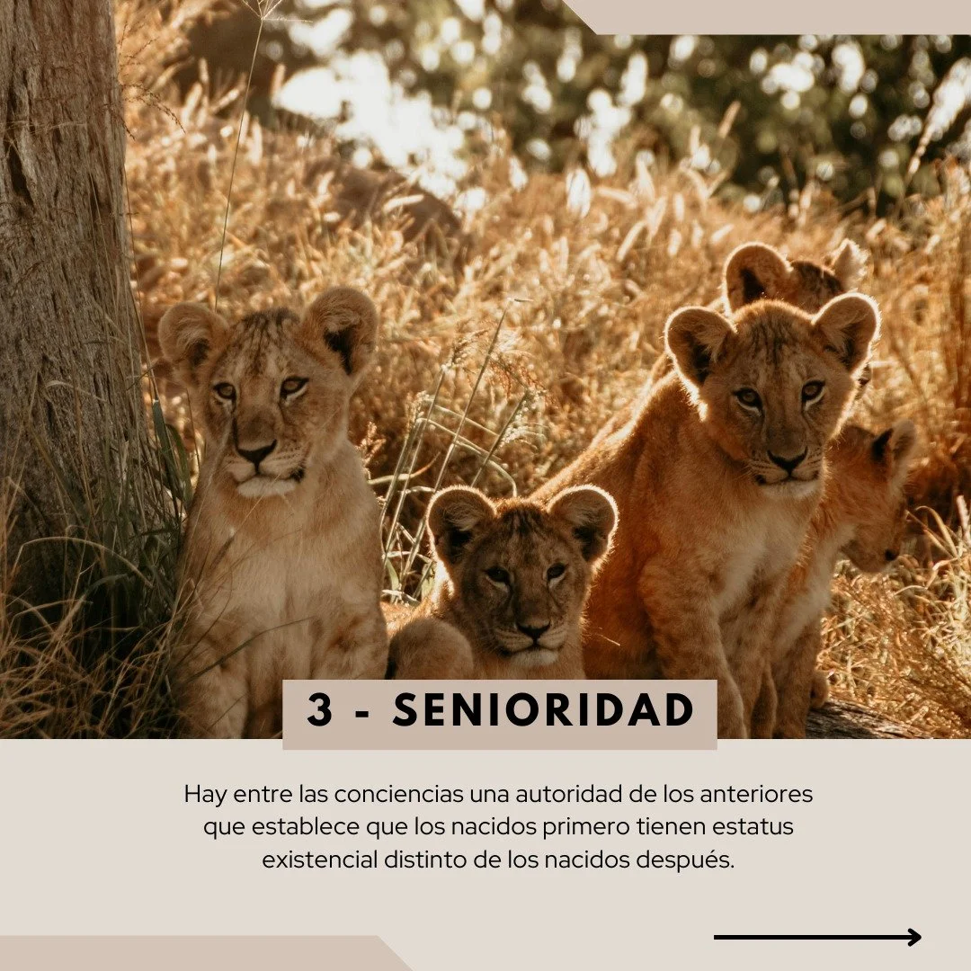 WhatsApp Image 2025-05-06 at 11.19.59.jpeg