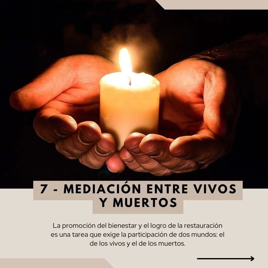 WhatsApp Image 2025-05-06 at 11.20.00 (1).jpeg