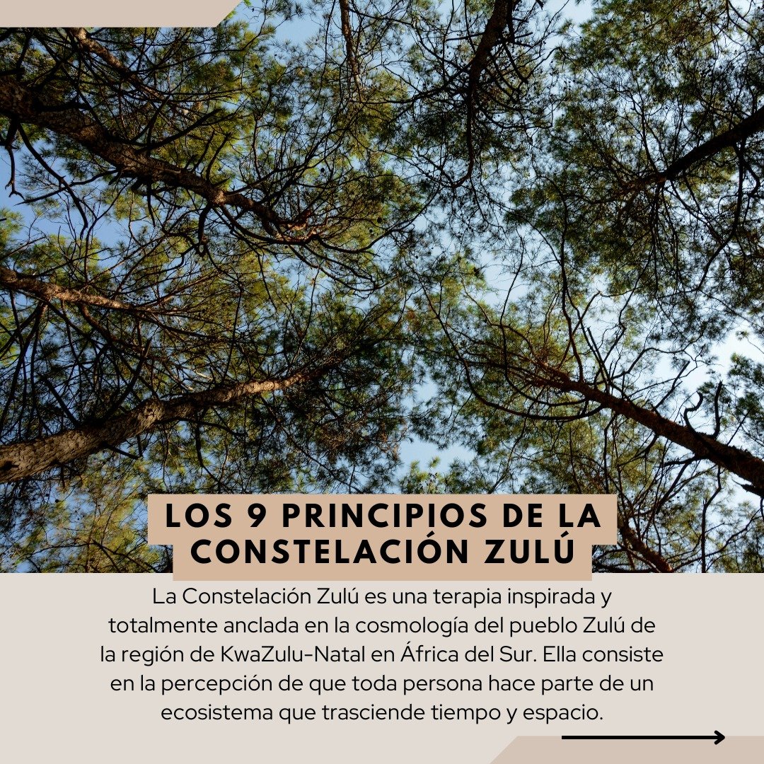 WhatsApp Image 2025-09-05 at 22.34.13.jpeg