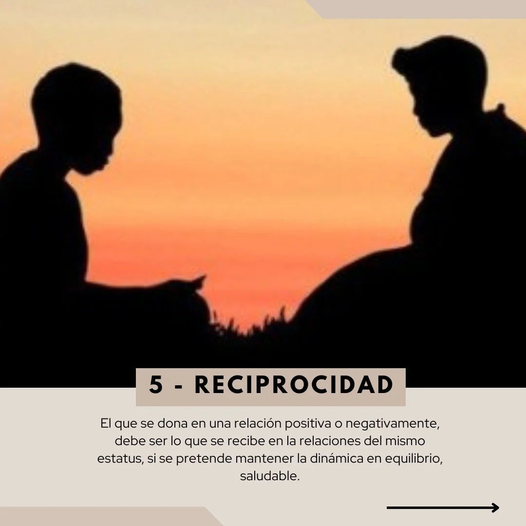 WhatsApp Image 2025-05-06 at 11.19.59 (4).jpeg