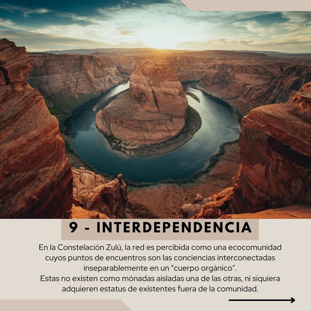 WhatsApp Image 2025-05-06 at 11.20.00 (6).jpeg