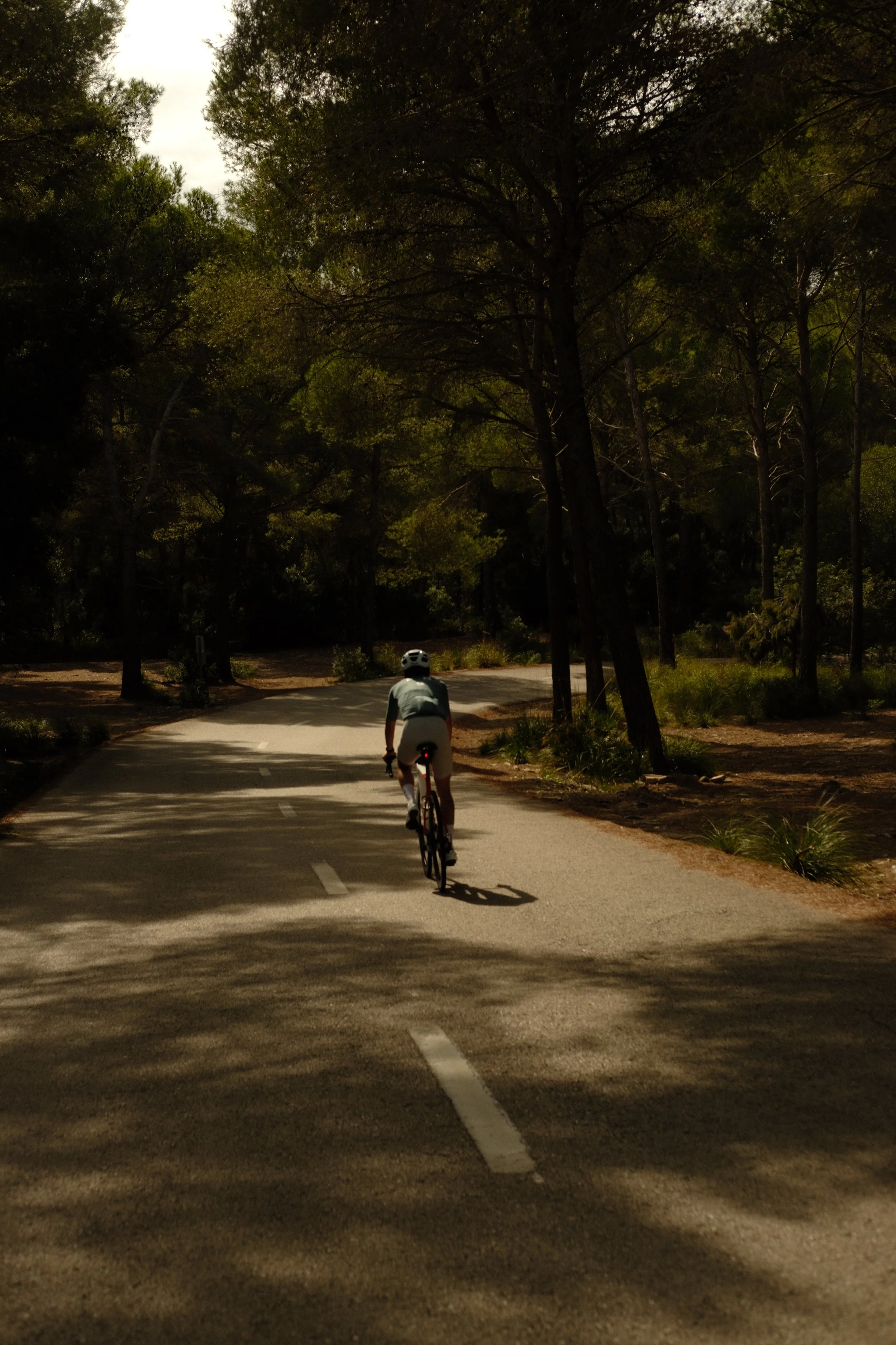 Ein Rennradfahrer fährt auf einer kurvigen Landstraße im Wald, umgeben von Bäumen und Schatten.