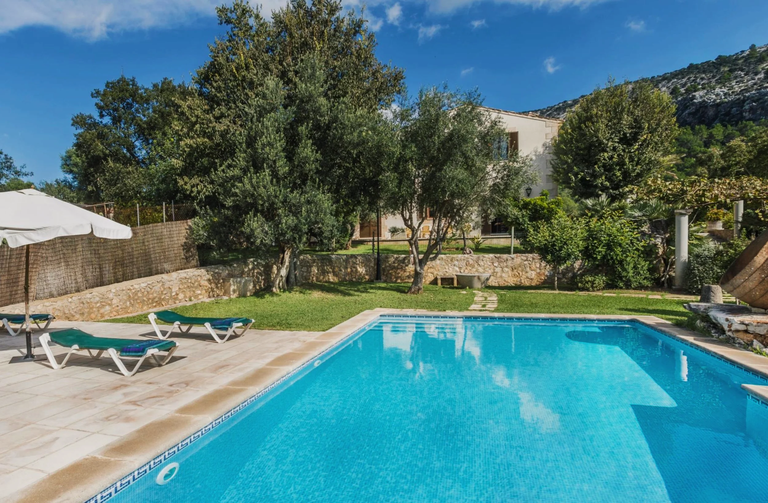 Ein Pool im Garten mit Liegestühlen, Sonnenschirm und Bäumen im Hintergrund, umgeben von einer Steinumrandung, bei sonnigem Himmel.