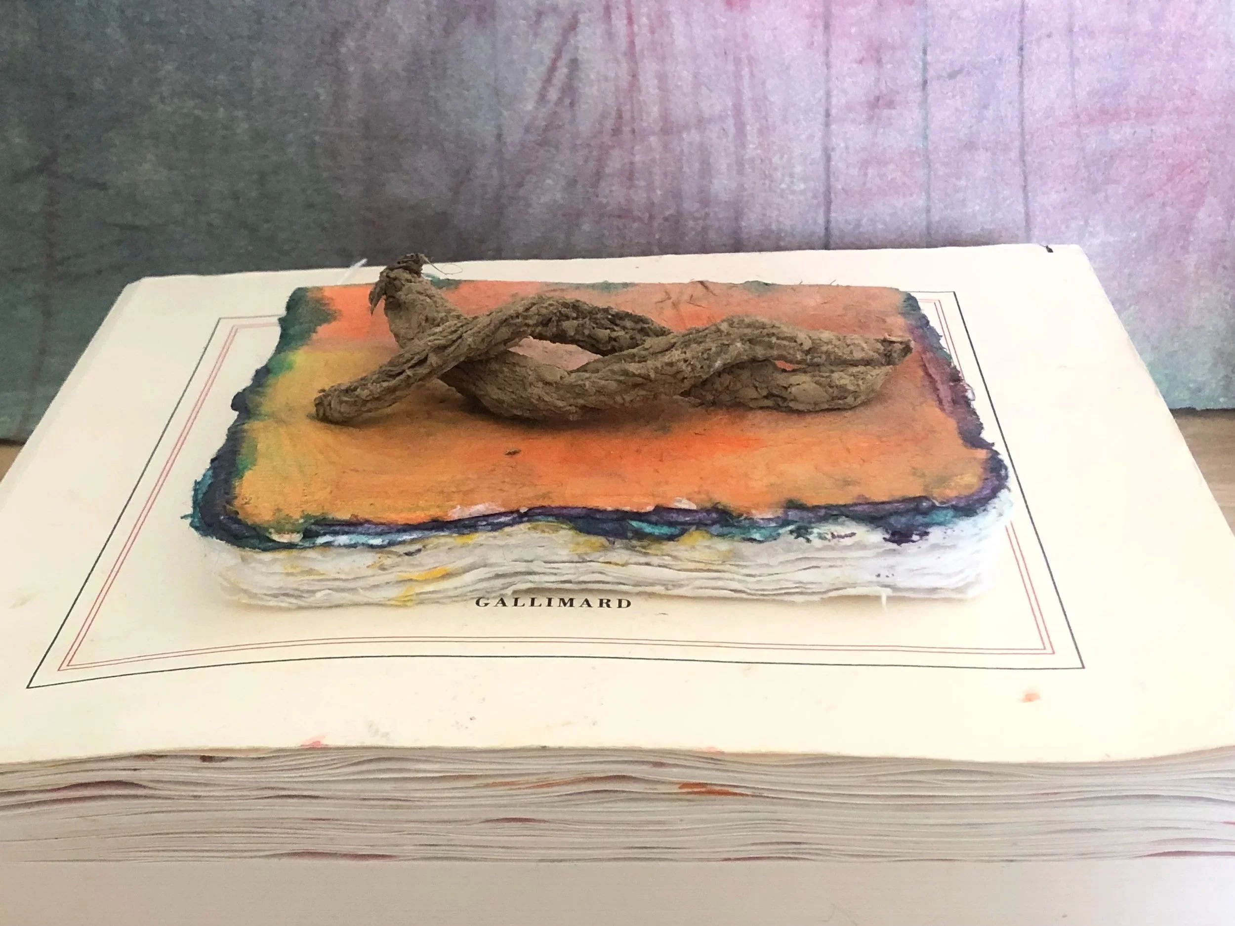 Déshydratation naturelle de la carotte.