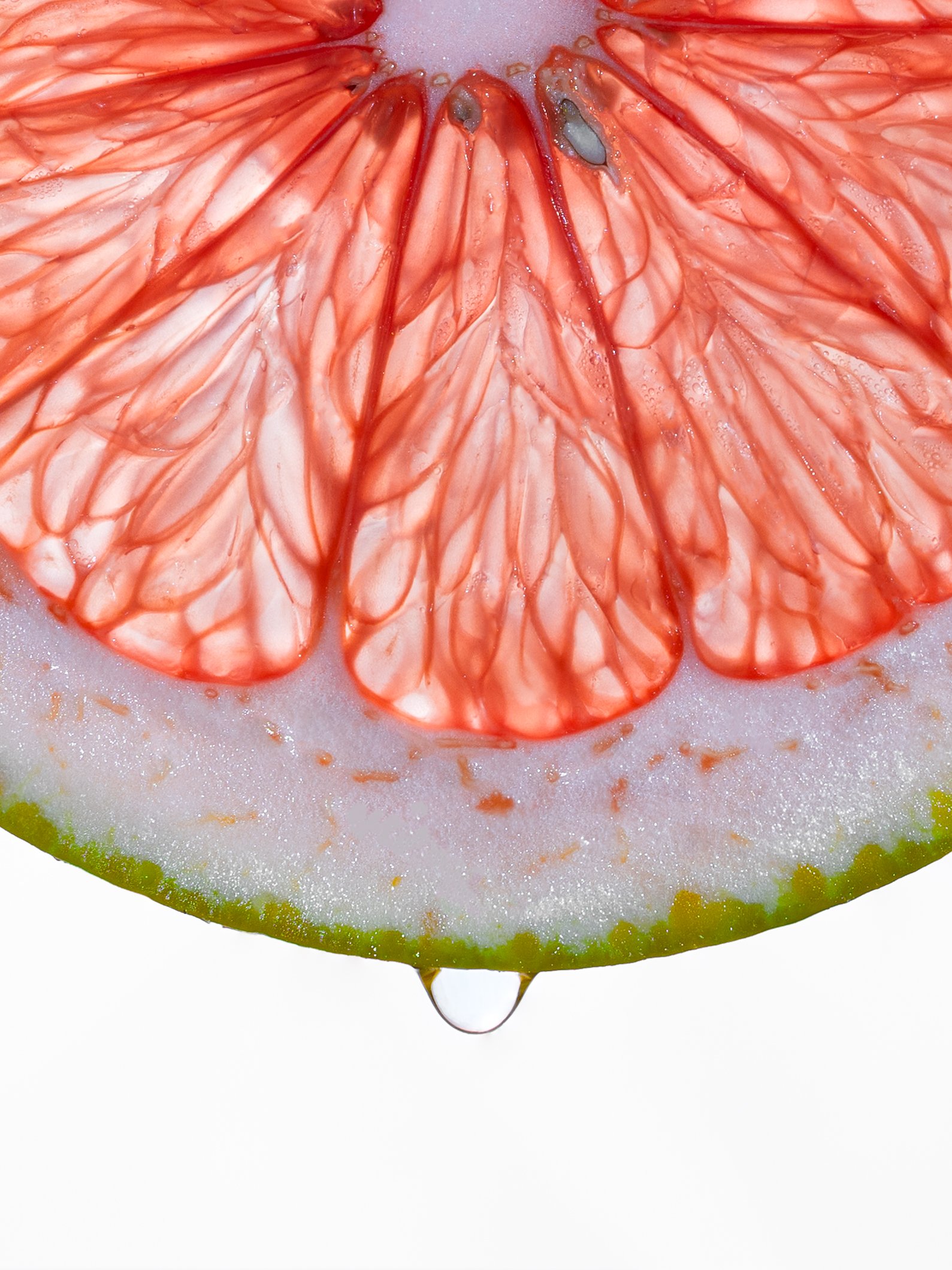 Orange Closeup-5.jpg