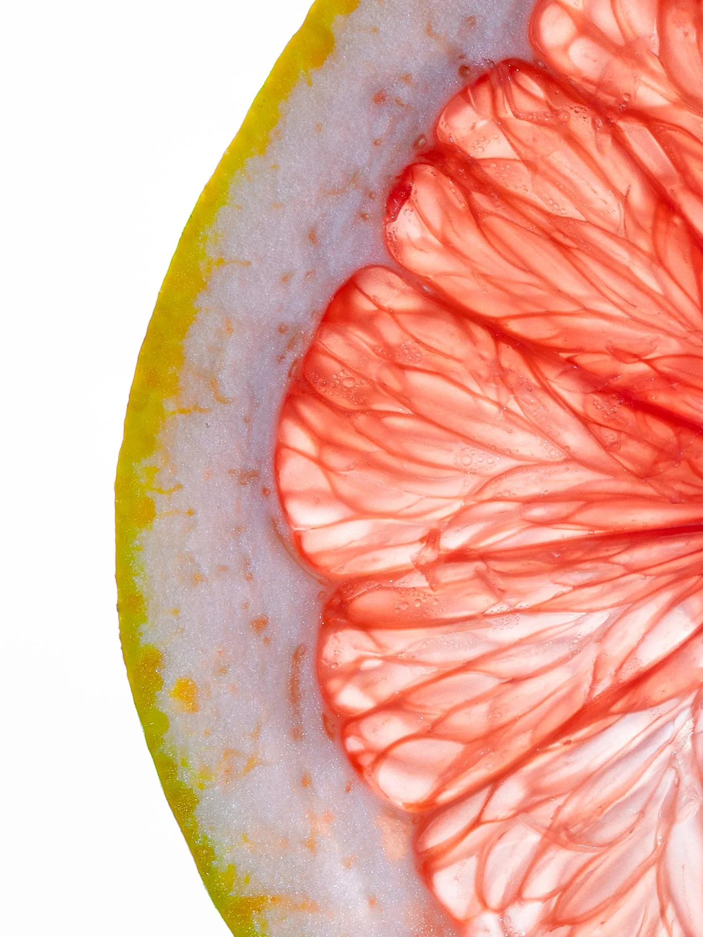 Orange Closeup-9.jpg
