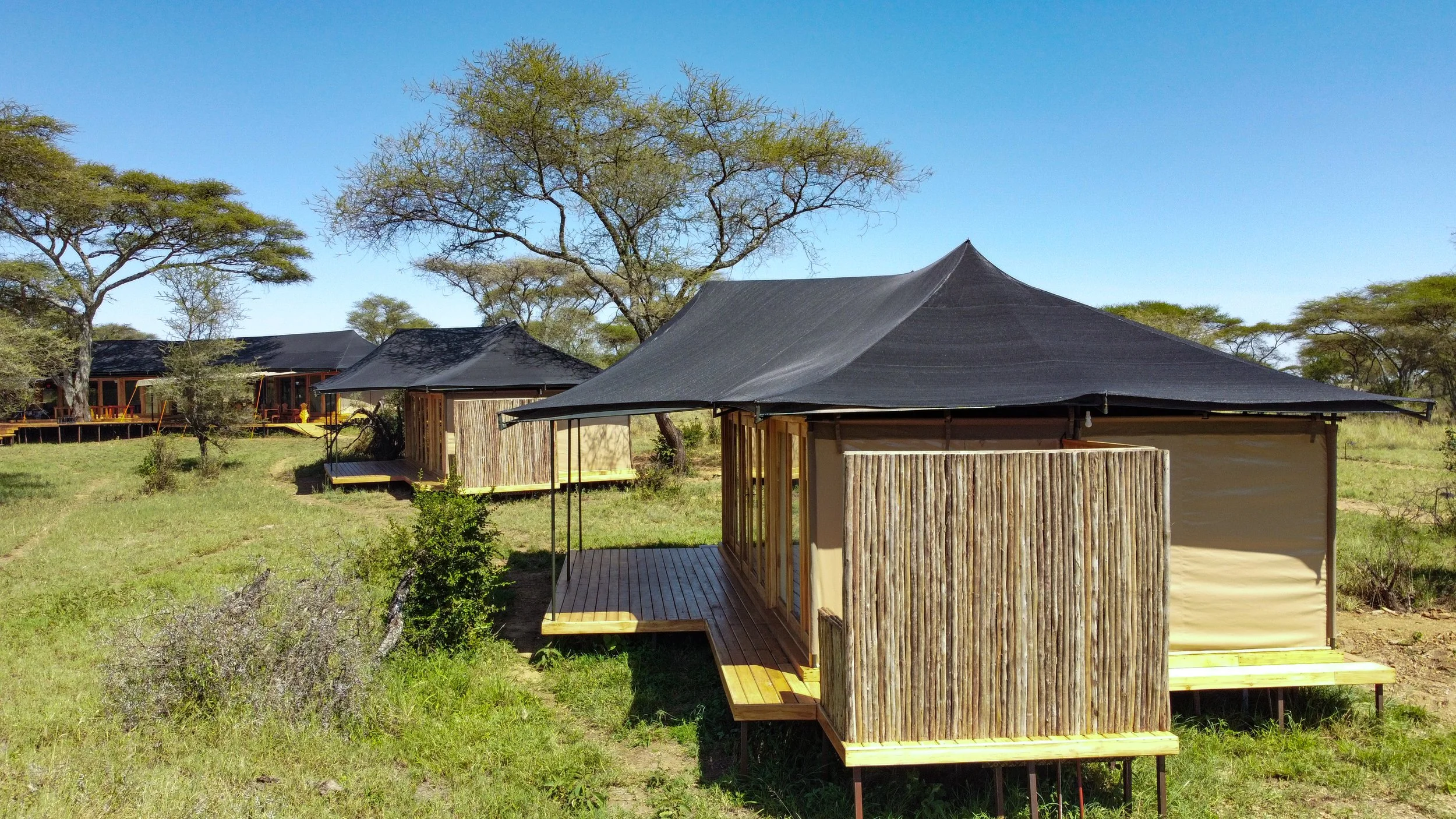 Luxury safari lodges with thatched roofs and wooden decks set in grassy plains with acacia trees under a clear blue sky.