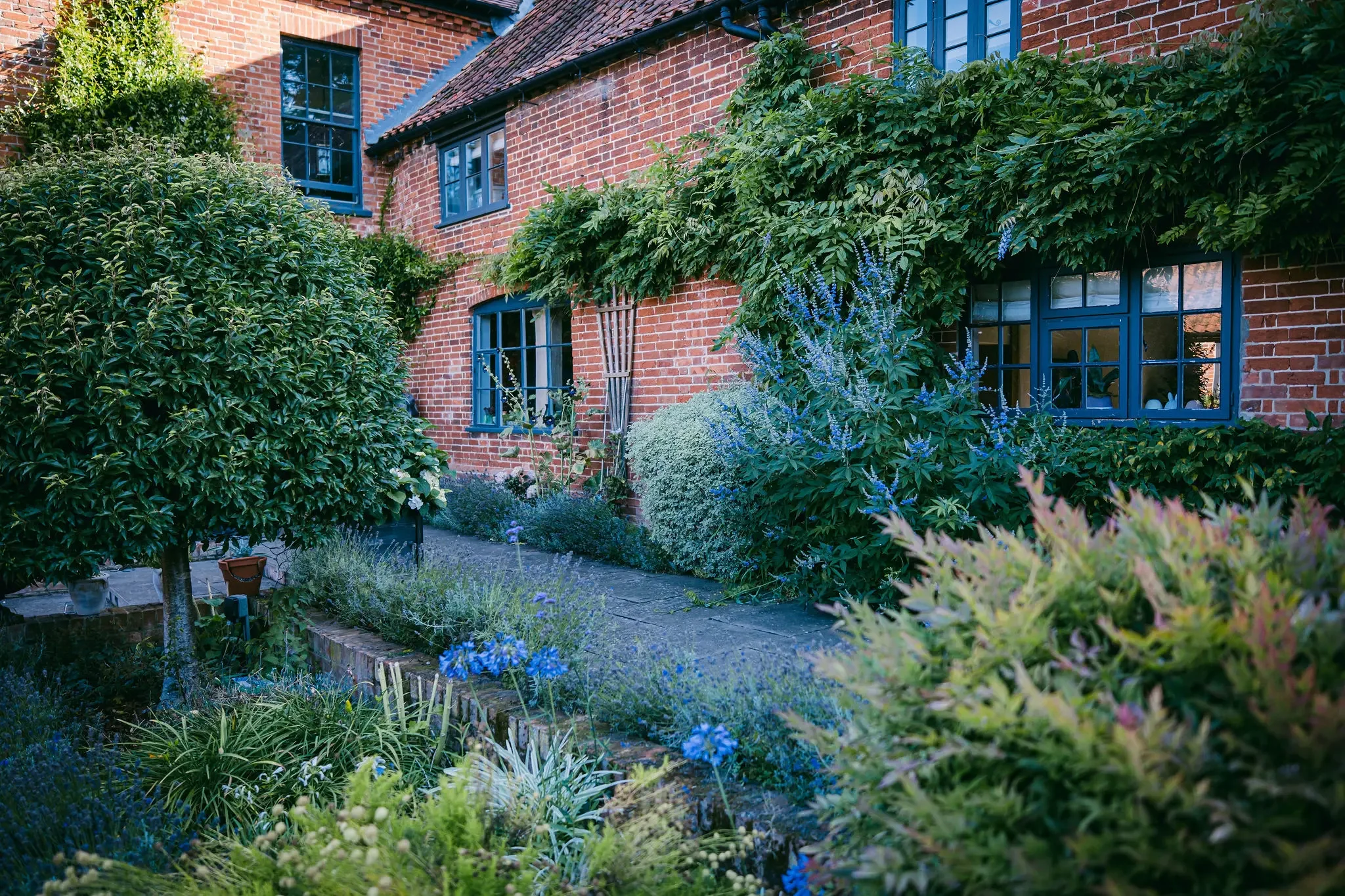 A brick house with multiple blue-framed windows, surrounded by lush green plants, shrubs, and flowering plants in a garden