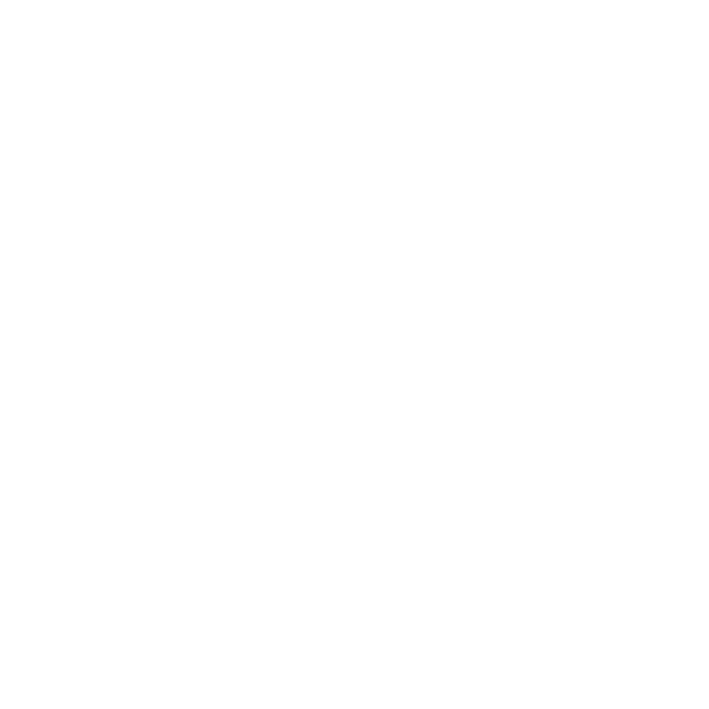 101 Réseau
