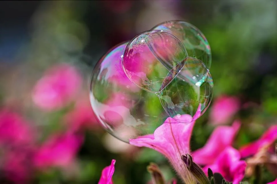 flower-and-bubbles.jpg