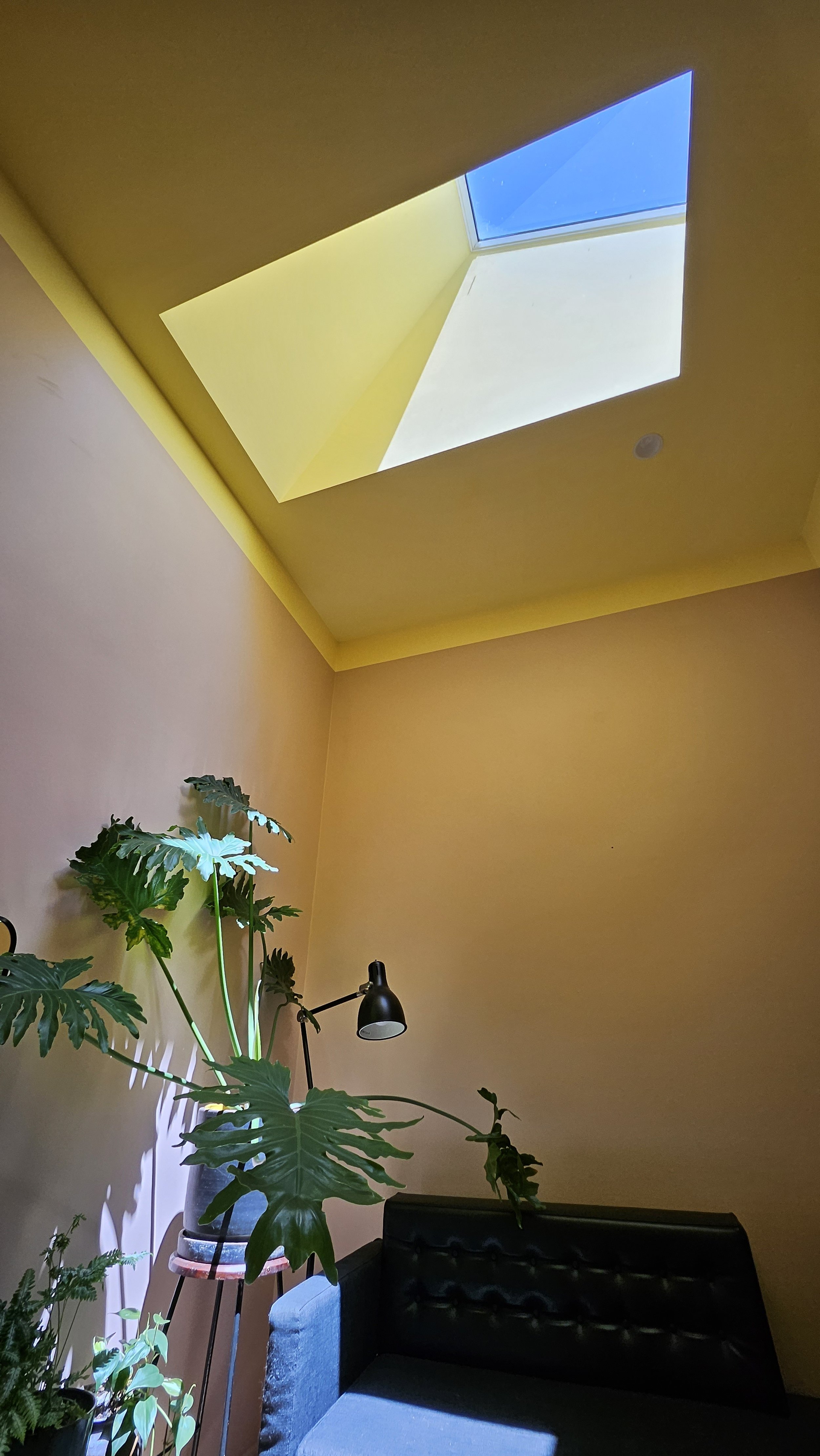 2026-01-07 12.36.22.jpg