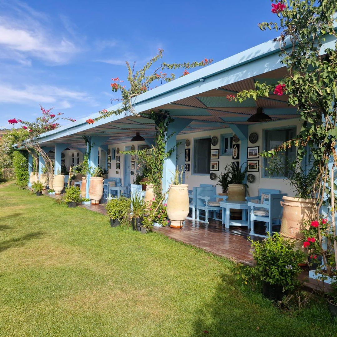 A sunny outdoor porch with blue furniture, potted plants, and vine-covered trellises, overlooking a green lawn against a blue sky.